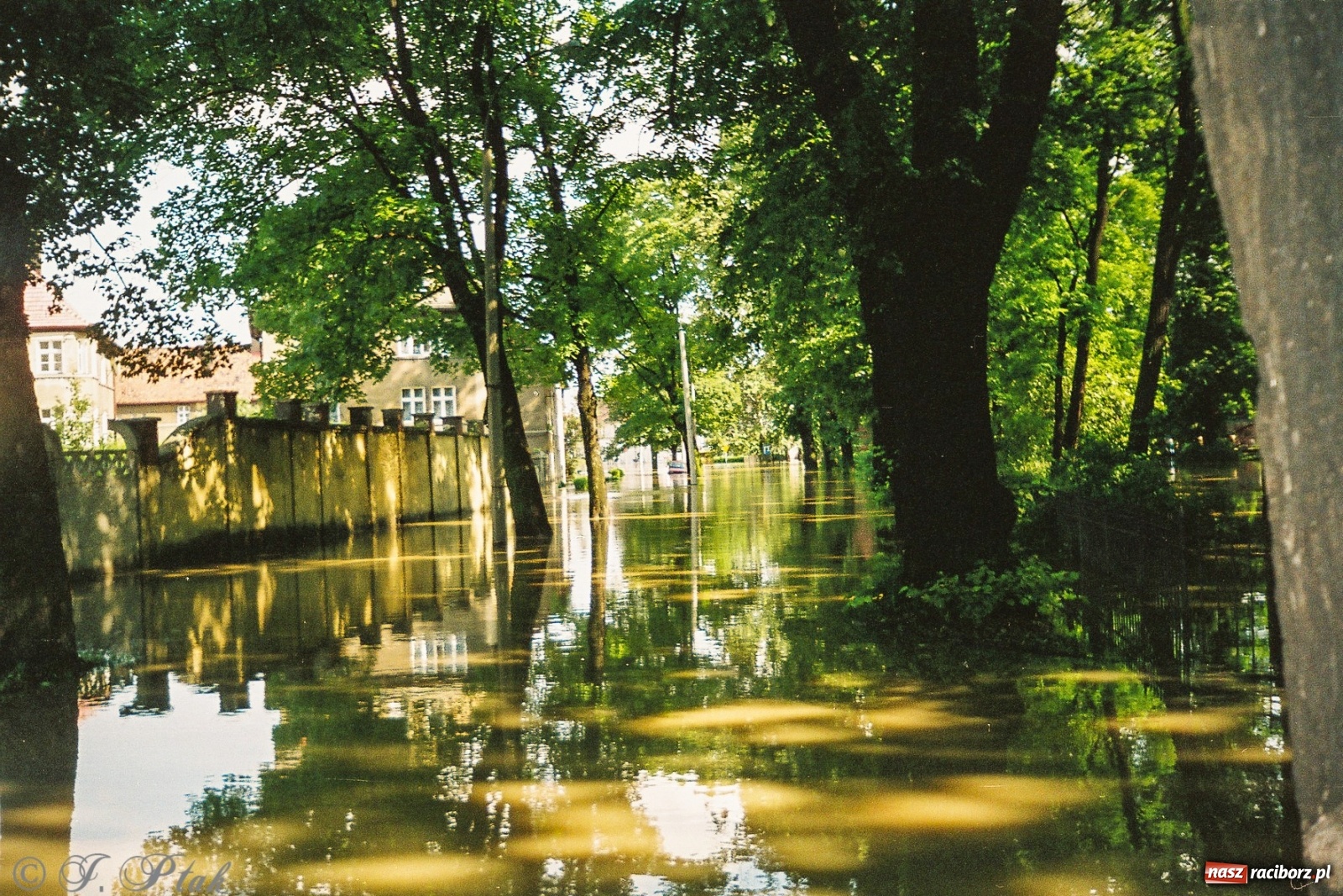 Zdjęcie w galerii na portalu naszraciborz.pl: Data zalania dworca w 1997 r. Kto ma rację - wiceminister czy prezydent? [FOTO Z 1997] wiadomości z regionu