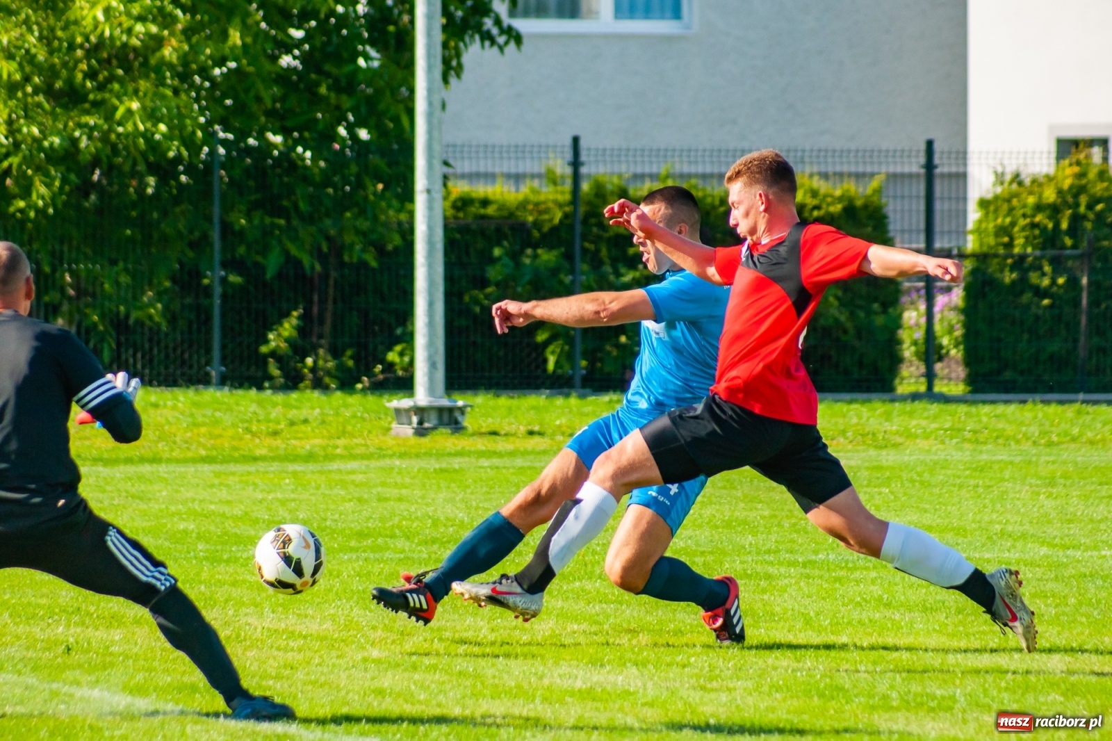Zdjęcie w galerii na portalu naszraciborz.pl: Sparing. Wymiana ciosów przy Urbana na remis [FOTO] wiadomości z regionu