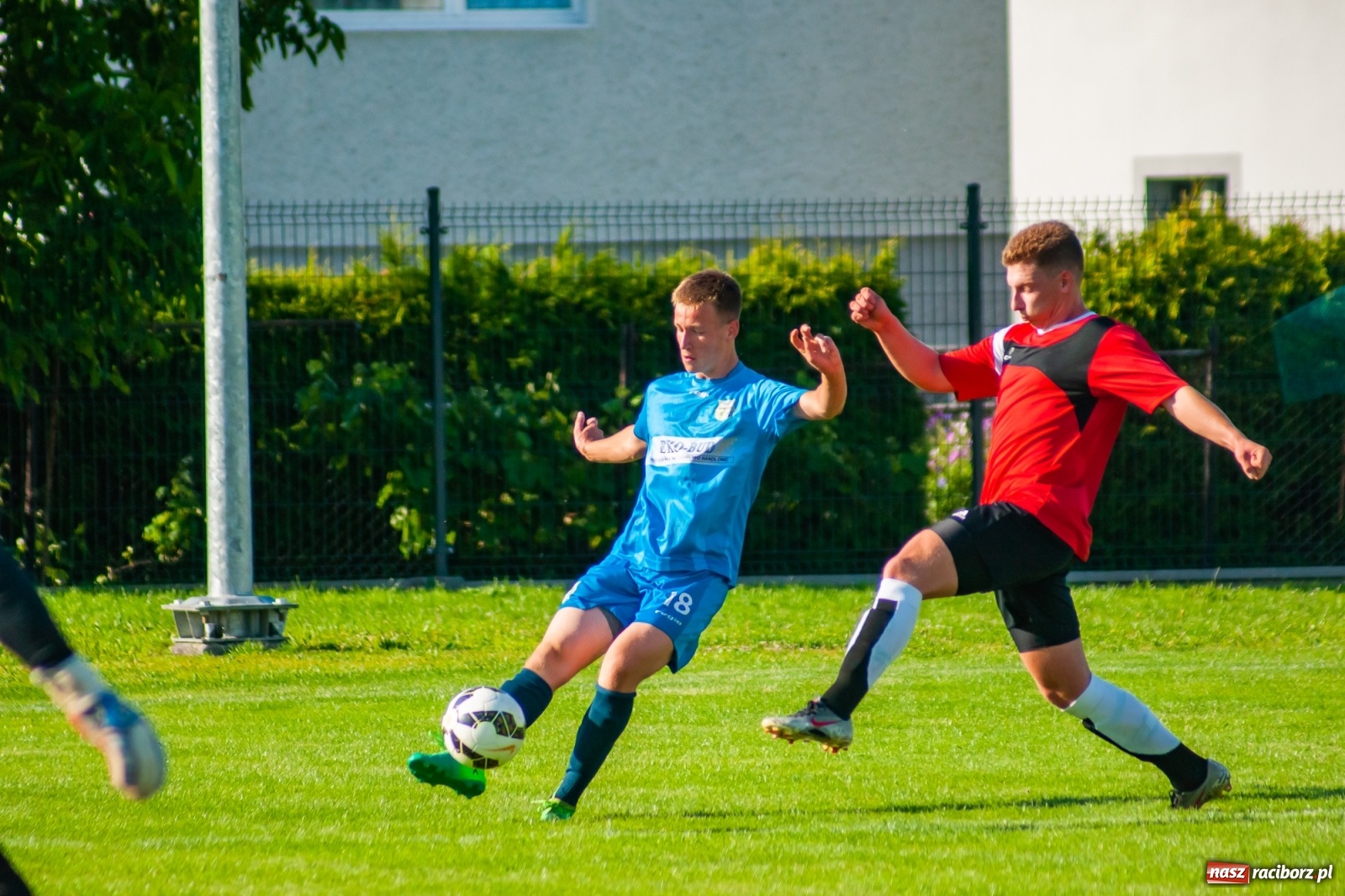 Zdjęcie w galerii na portalu naszraciborz.pl: Sparing. Wymiana ciosów przy Urbana na remis [FOTO] wiadomości z regionu