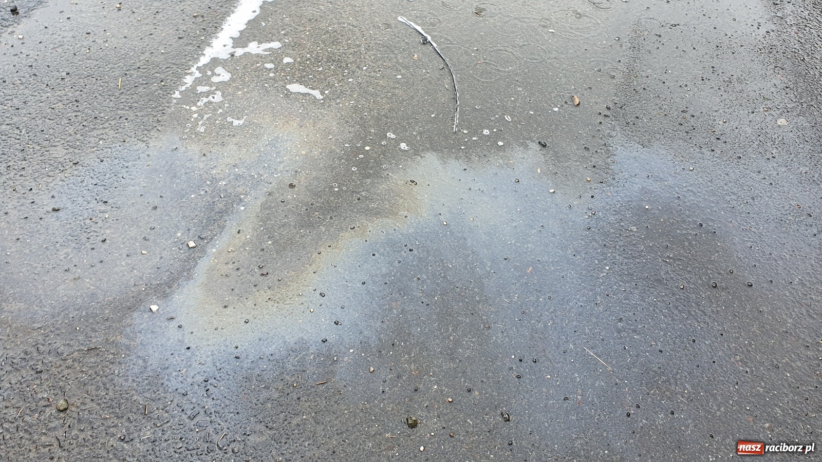 Zdjęcie w galerii na portalu naszraciborz.pl: Raport 998. Kolizyjny weekend i początek nowego tygodnia  wiadomości z regionu