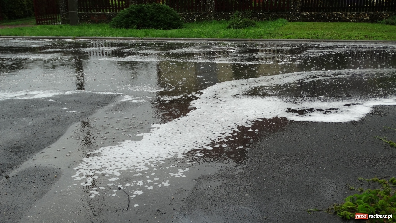 Zdjęcie w galerii na portalu naszraciborz.pl: Raport 998. Kolizyjny weekend i początek nowego tygodnia  wiadomości z regionu