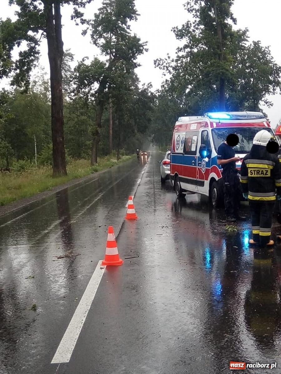 Zdjęcie w galerii na portalu naszraciborz.pl: Policja ustaliła przyczyny weekendowych zdarzeń drogowych wiadomości z regionu