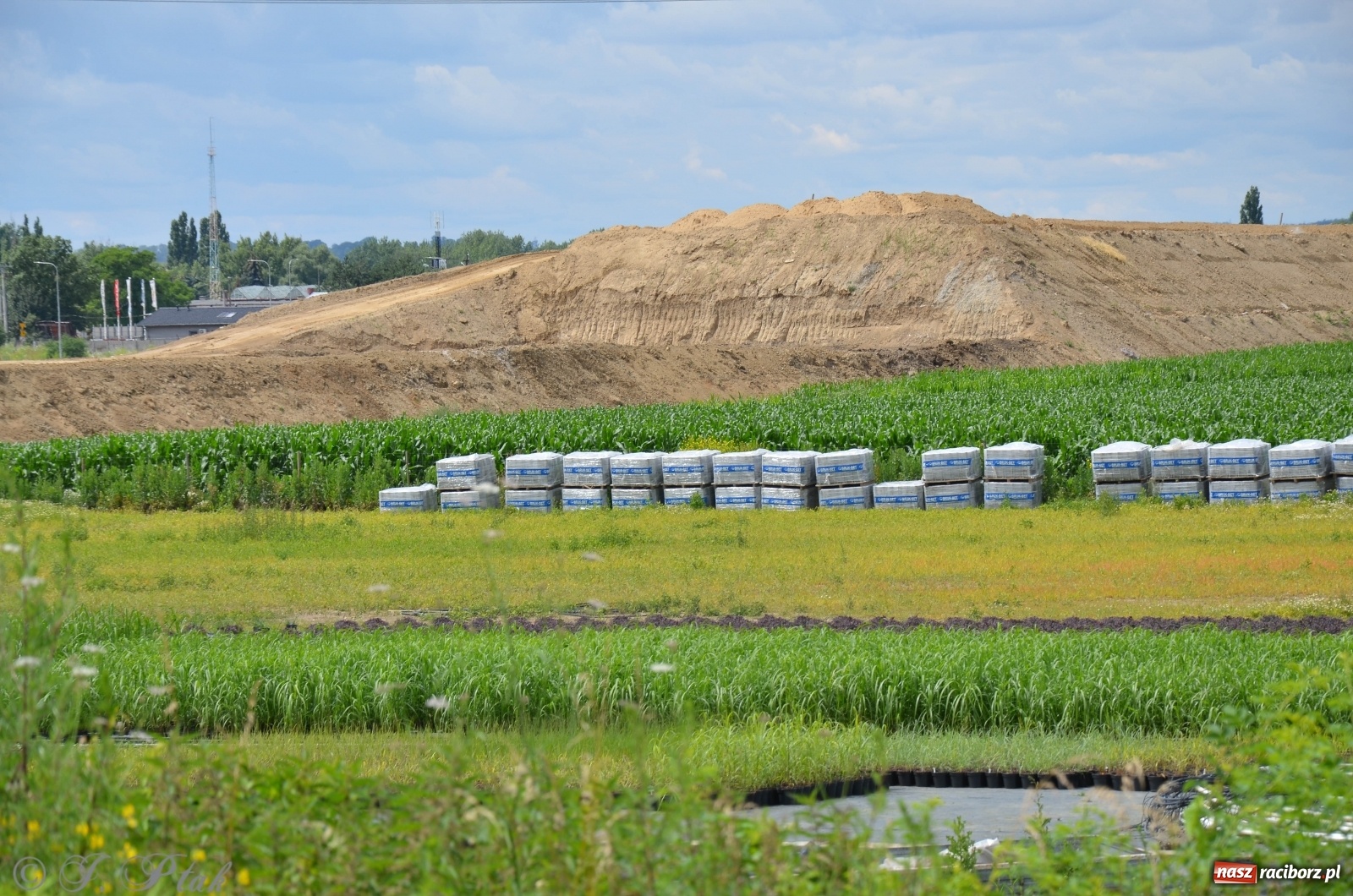 Zdjęcie w galerii na portalu naszraciborz.pl: Przy moście kolejowym na Markowice powstaje wiadukt [FOTO] wiadomości z regionu