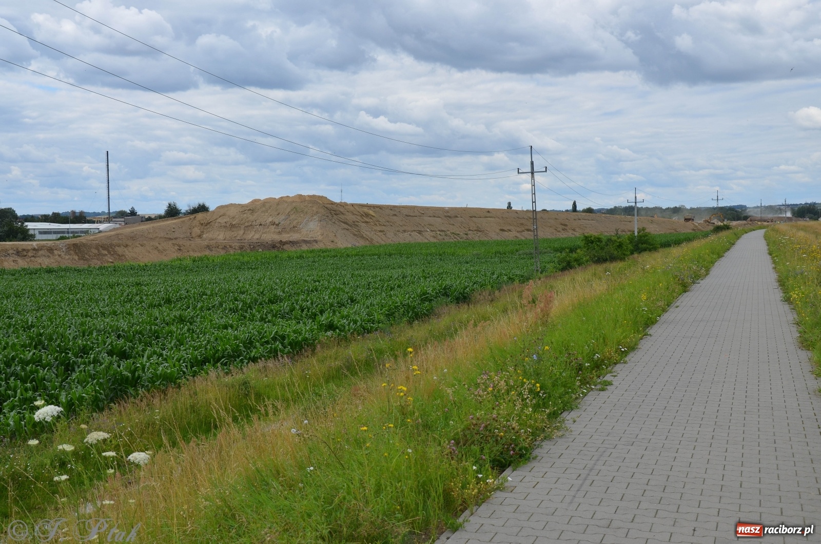 Zdjęcie w galerii na portalu naszraciborz.pl: Przy moście kolejowym na Markowice powstaje wiadukt [FOTO] wiadomości z regionu