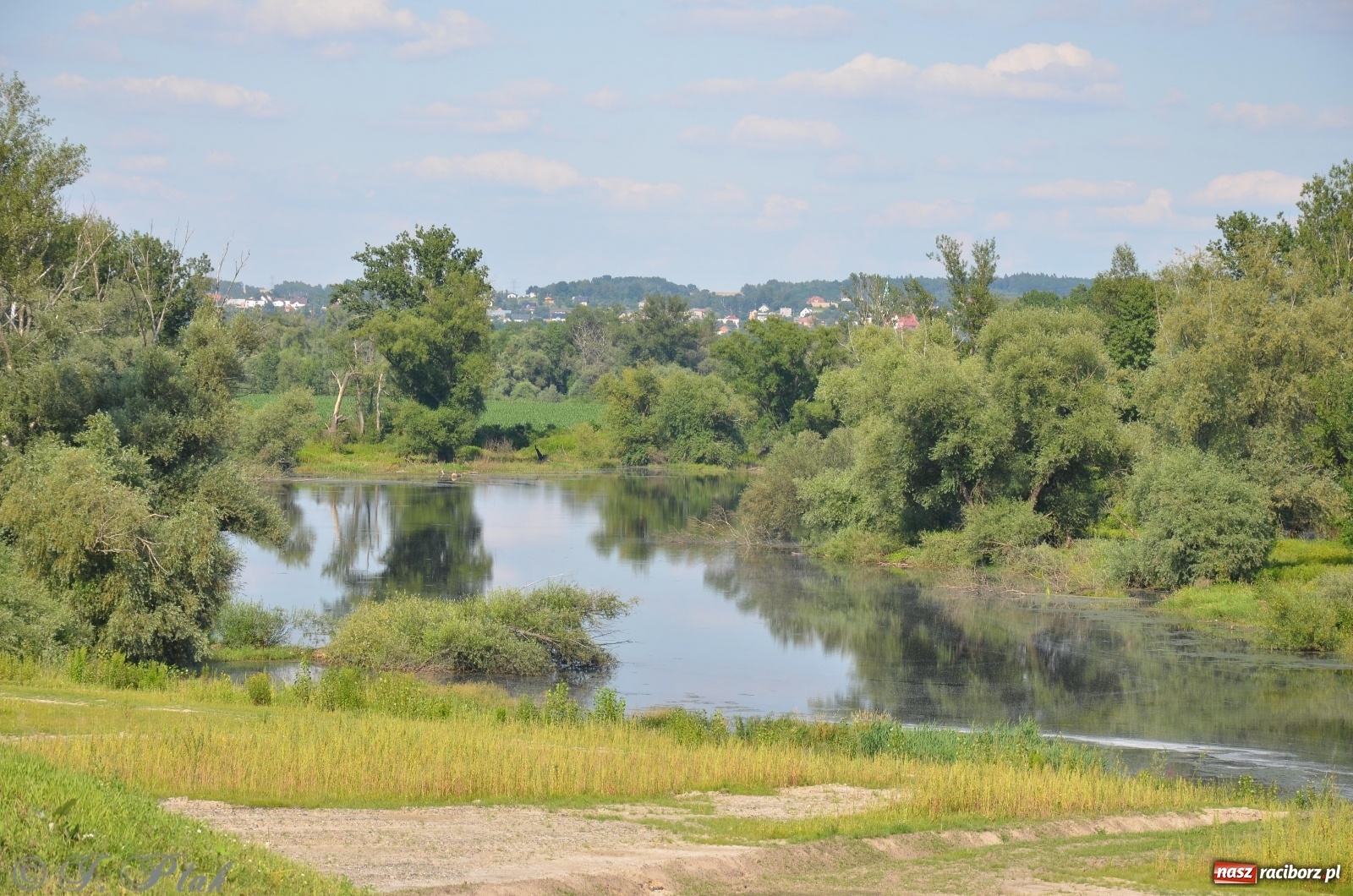 Zdjęcie w galerii na portalu naszraciborz.pl: Takie wyjątkowe krajobrazy znajdziecie tuż pod Raciborzem [FOTO] wiadomości z regionu