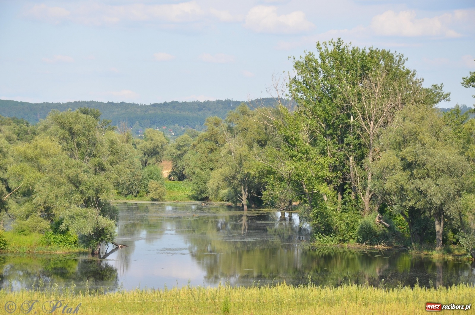 Zdjęcie w galerii na portalu naszraciborz.pl: Takie wyjątkowe krajobrazy znajdziecie tuż pod Raciborzem [FOTO] wiadomości z regionu