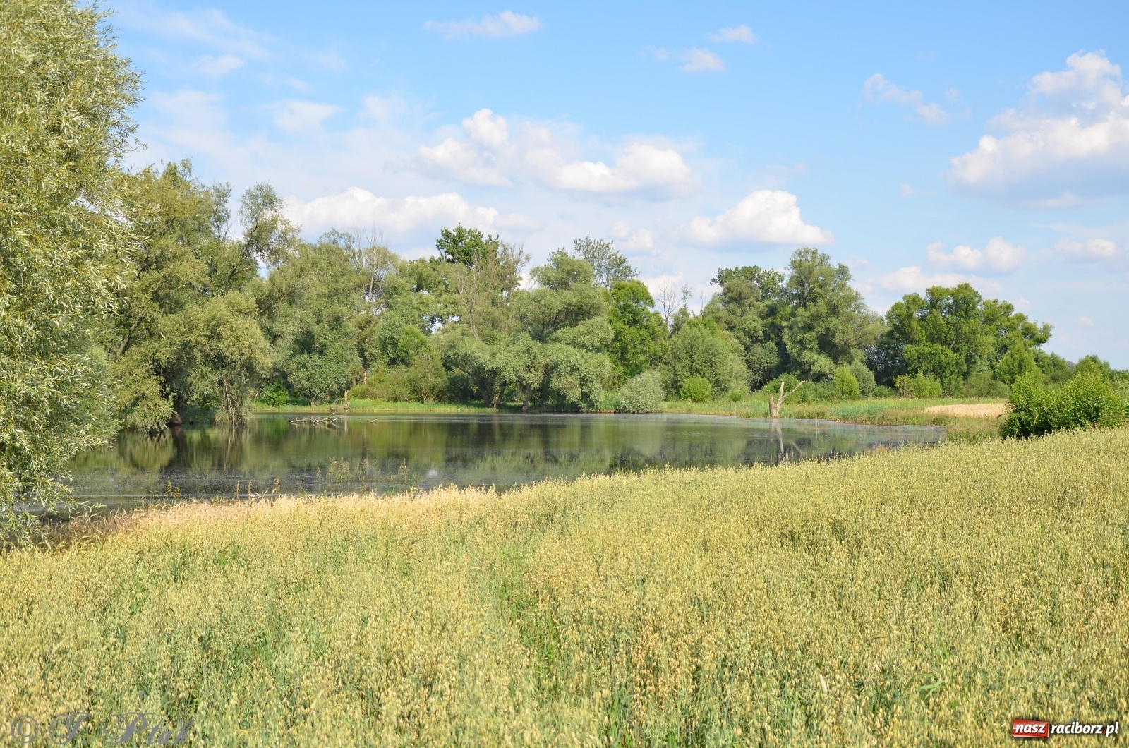 Zdjęcie w galerii na portalu naszraciborz.pl: Takie wyjątkowe krajobrazy znajdziecie tuż pod Raciborzem [FOTO] wiadomości z regionu