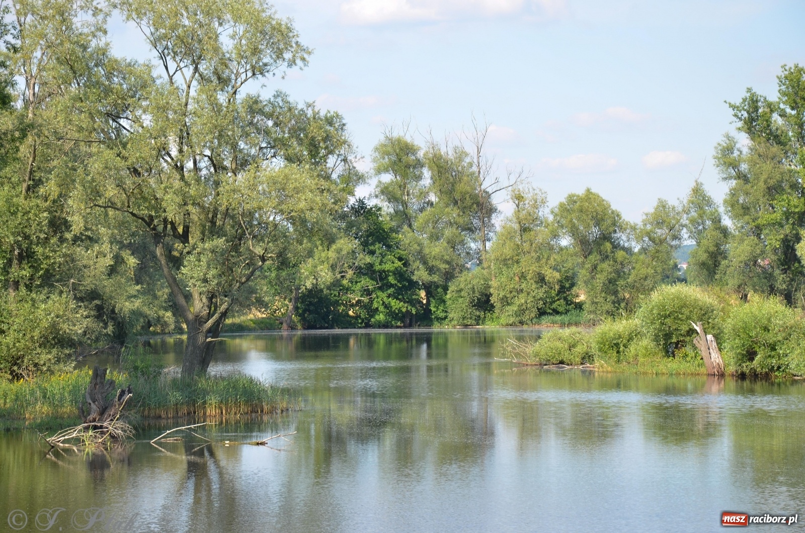 Zdjęcie w galerii na portalu naszraciborz.pl: Takie wyjątkowe krajobrazy znajdziecie tuż pod Raciborzem [FOTO] wiadomości z regionu