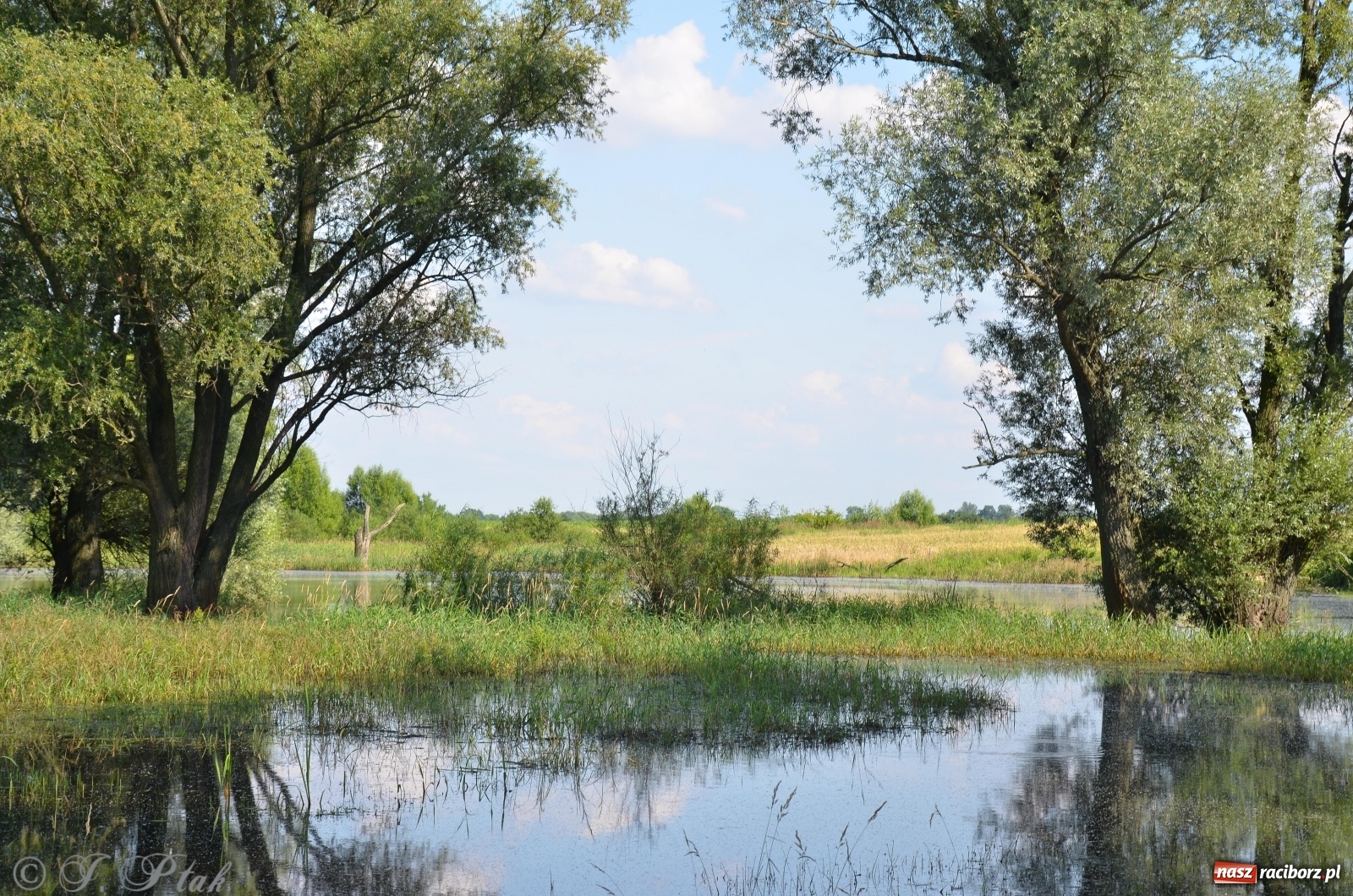 Zdjęcie w galerii na portalu naszraciborz.pl: Takie wyjątkowe krajobrazy znajdziecie tuż pod Raciborzem [FOTO] wiadomości z regionu