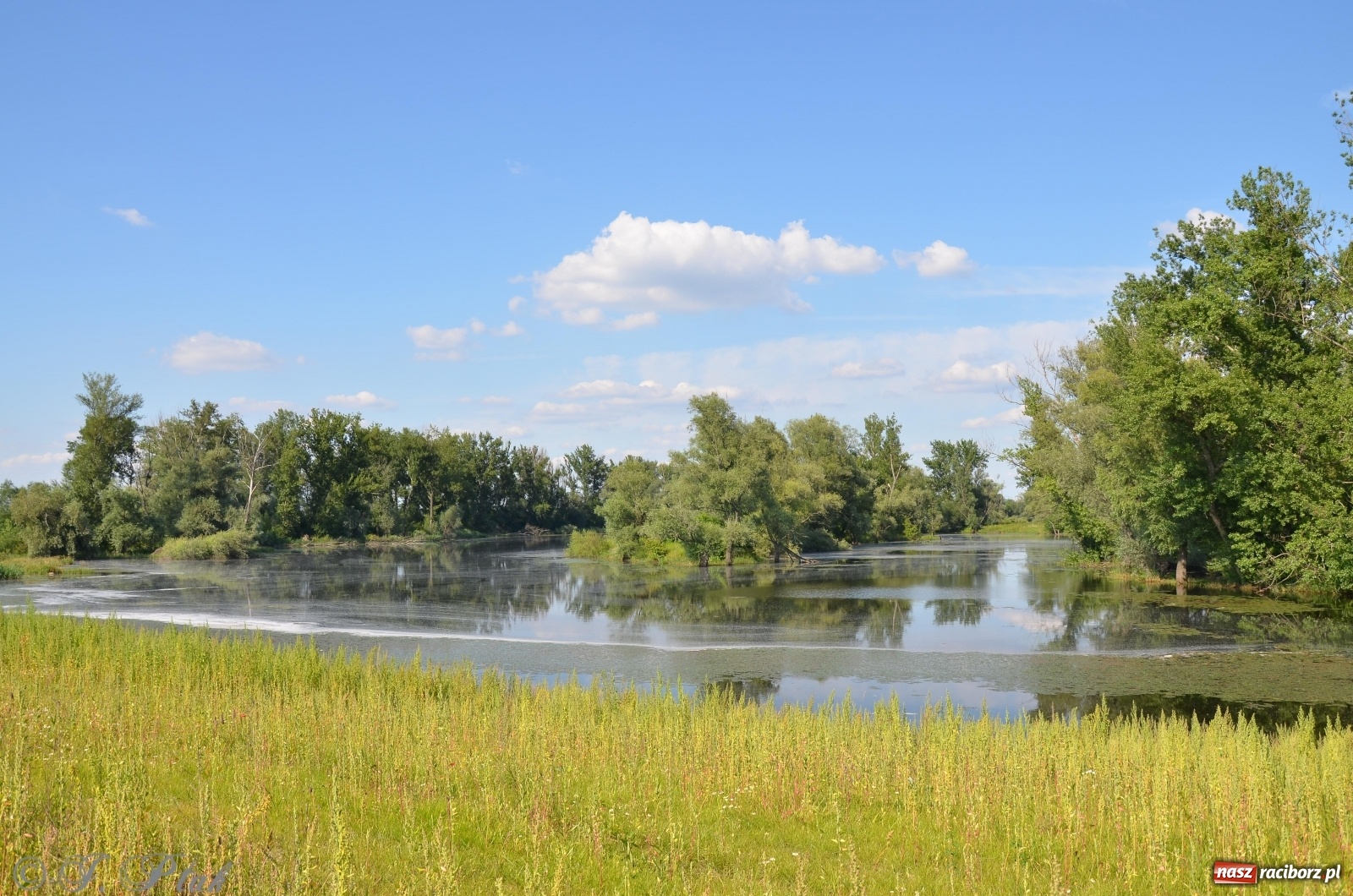 Zdjęcie w galerii na portalu naszraciborz.pl: Takie wyjątkowe krajobrazy znajdziecie tuż pod Raciborzem [FOTO] wiadomości z regionu
