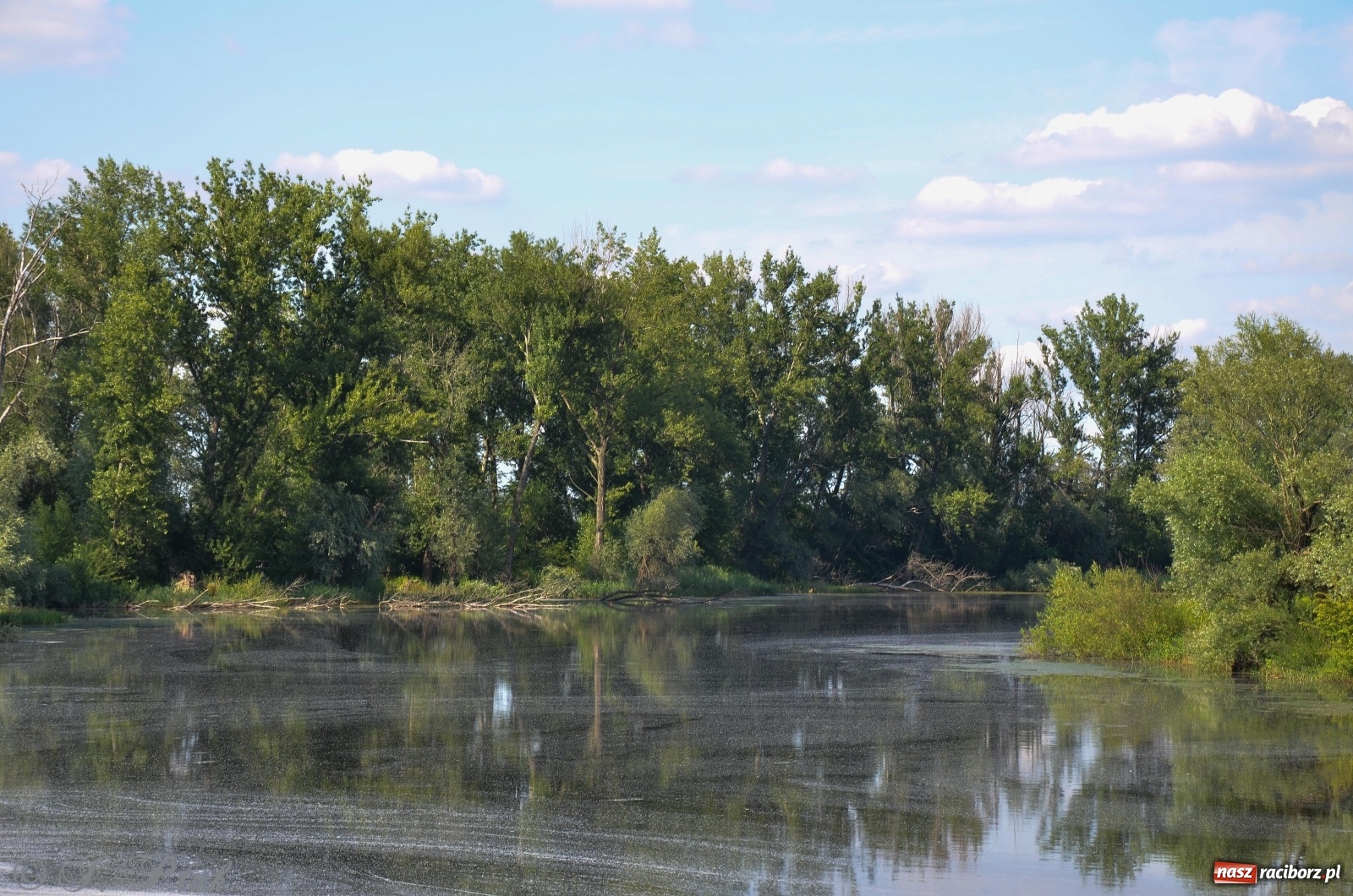 Zdjęcie w galerii na portalu naszraciborz.pl: Takie wyjątkowe krajobrazy znajdziecie tuż pod Raciborzem [FOTO] wiadomości z regionu