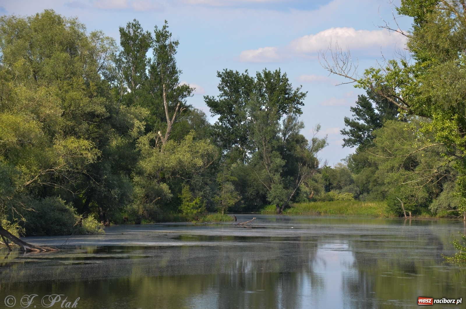 Zdjęcie w galerii na portalu naszraciborz.pl: Takie wyjątkowe krajobrazy znajdziecie tuż pod Raciborzem [FOTO] wiadomości z regionu