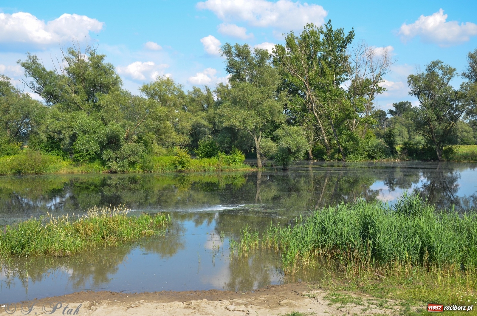 Zdjęcie w galerii na portalu naszraciborz.pl: Takie wyjątkowe krajobrazy znajdziecie tuż pod Raciborzem [FOTO] wiadomości z regionu