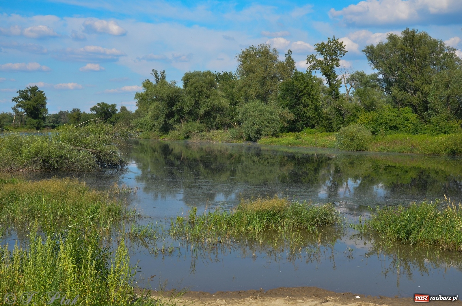 Zdjęcie w galerii na portalu naszraciborz.pl: Takie wyjątkowe krajobrazy znajdziecie tuż pod Raciborzem [FOTO] wiadomości z regionu