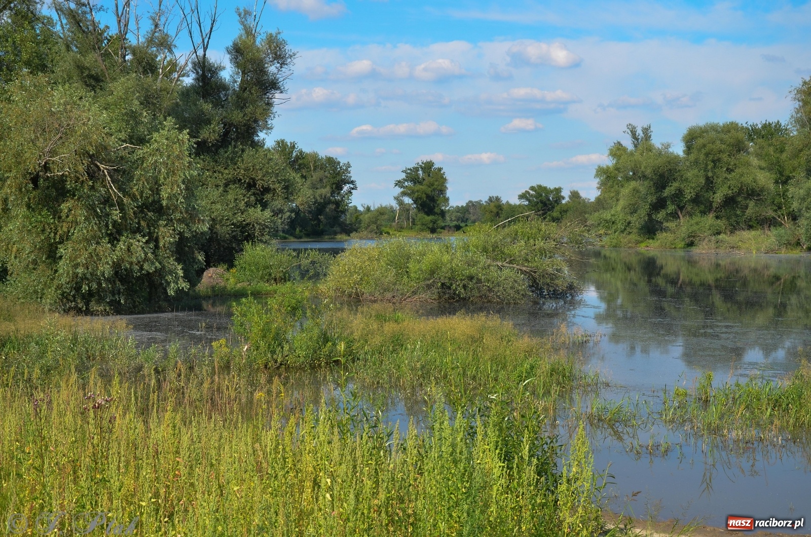 Zdjęcie w galerii na portalu naszraciborz.pl: Takie wyjątkowe krajobrazy znajdziecie tuż pod Raciborzem [FOTO] wiadomości z regionu