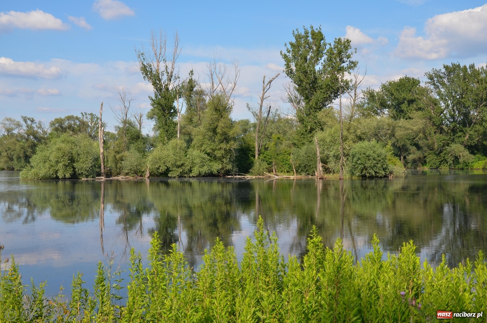 Zdjęcie w galerii na portalu naszraciborz.pl: Takie wyjątkowe krajobrazy znajdziecie tuż pod Raciborzem [FOTO] wiadomości z regionu