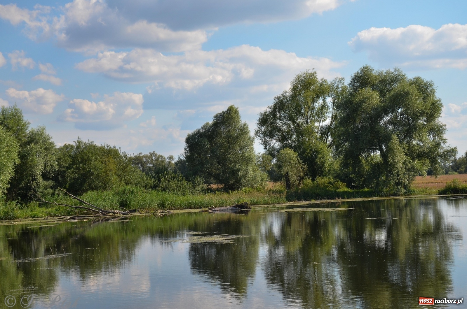 Zdjęcie w galerii na portalu naszraciborz.pl: Takie wyjątkowe krajobrazy znajdziecie tuż pod Raciborzem [FOTO] wiadomości z regionu
