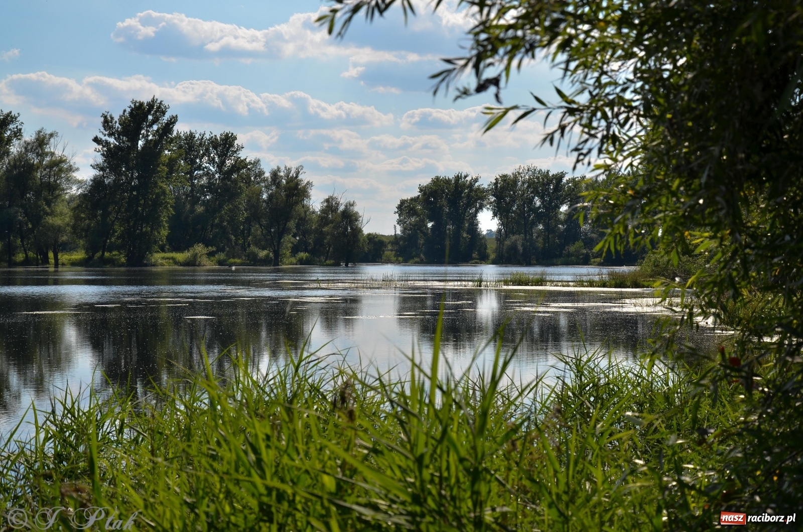 Zdjęcie w galerii na portalu naszraciborz.pl: Takie wyjątkowe krajobrazy znajdziecie tuż pod Raciborzem [FOTO] wiadomości z regionu