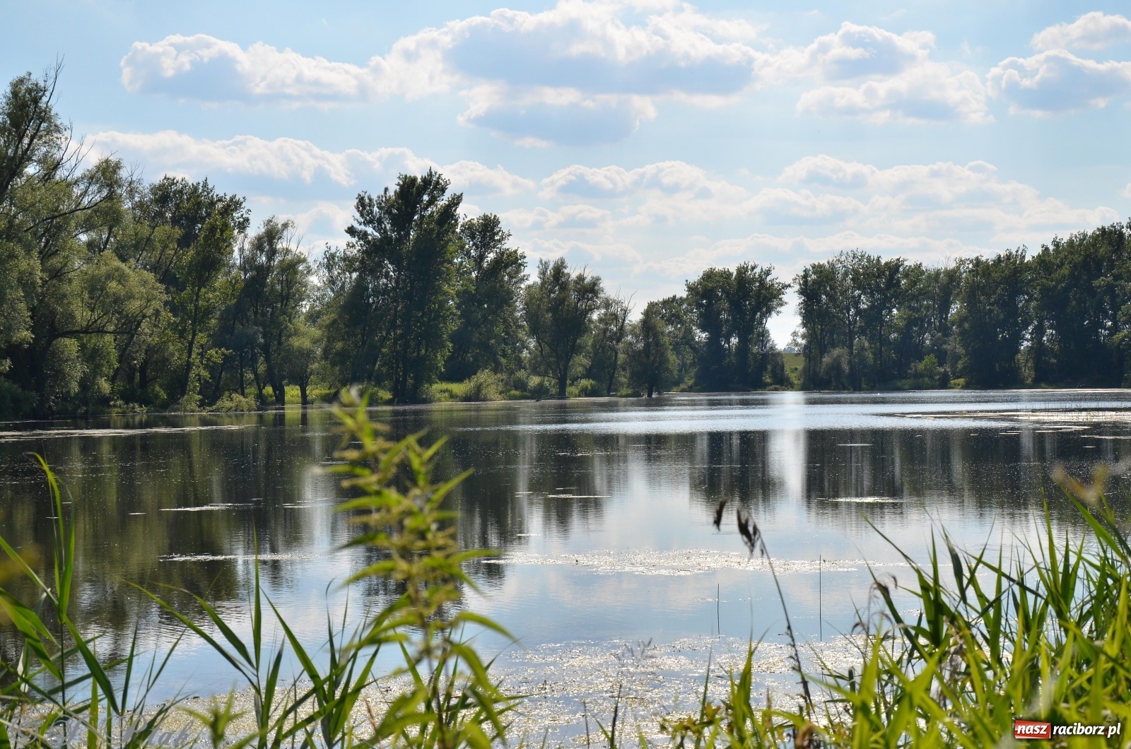 Zdjęcie w galerii na portalu naszraciborz.pl: Takie wyjątkowe krajobrazy znajdziecie tuż pod Raciborzem [FOTO] wiadomości z regionu