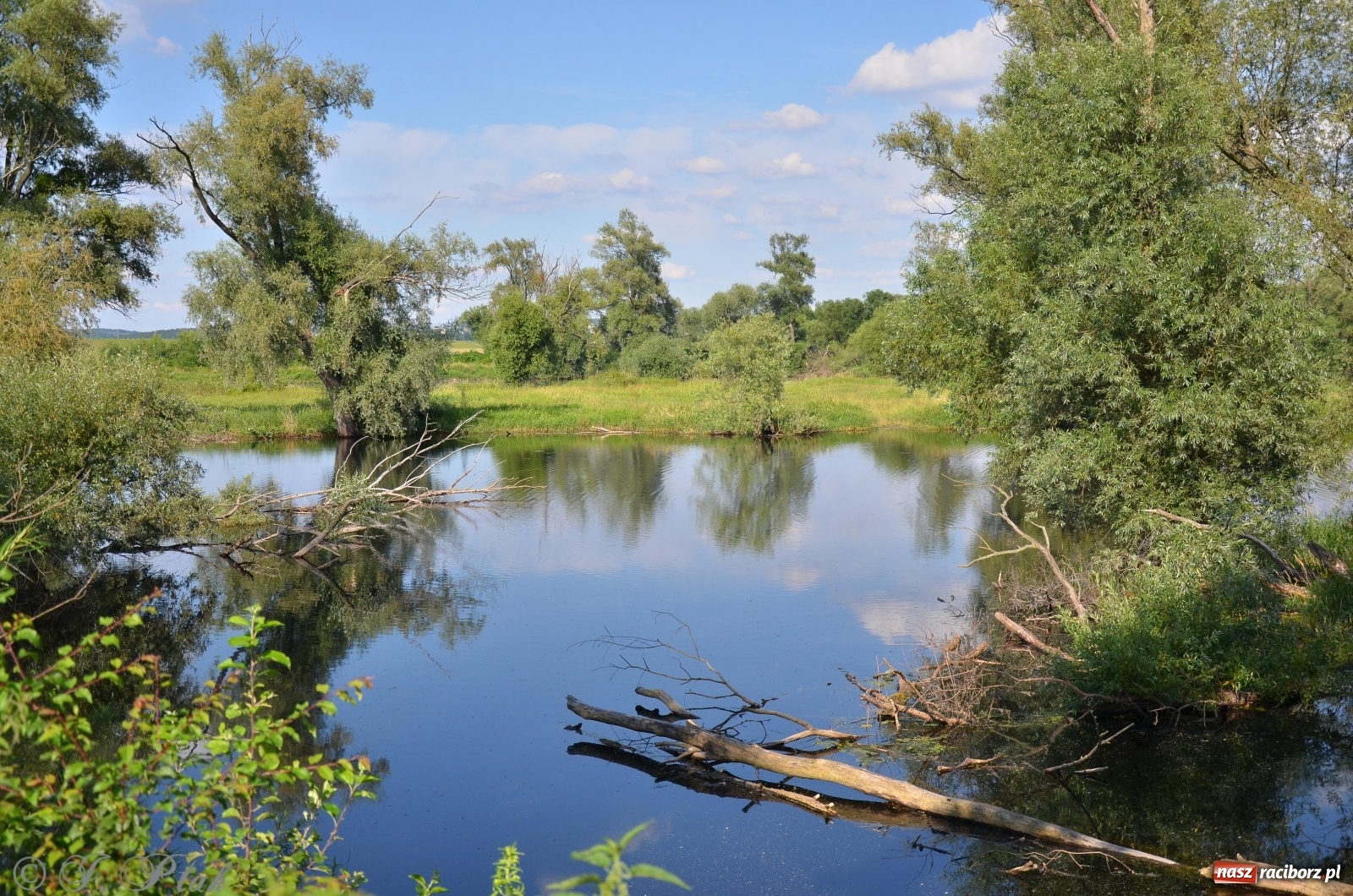 Zdjęcie w galerii na portalu naszraciborz.pl: Takie wyjątkowe krajobrazy znajdziecie tuż pod Raciborzem [FOTO] wiadomości z regionu