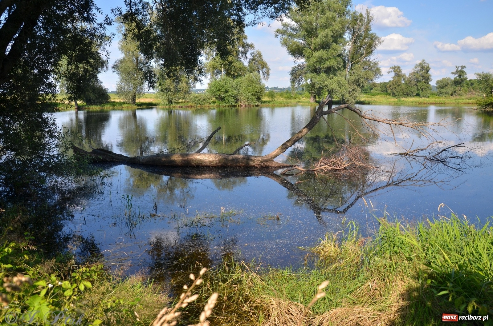 Zdjęcie w galerii na portalu naszraciborz.pl: Takie wyjątkowe krajobrazy znajdziecie tuż pod Raciborzem [FOTO] wiadomości z regionu