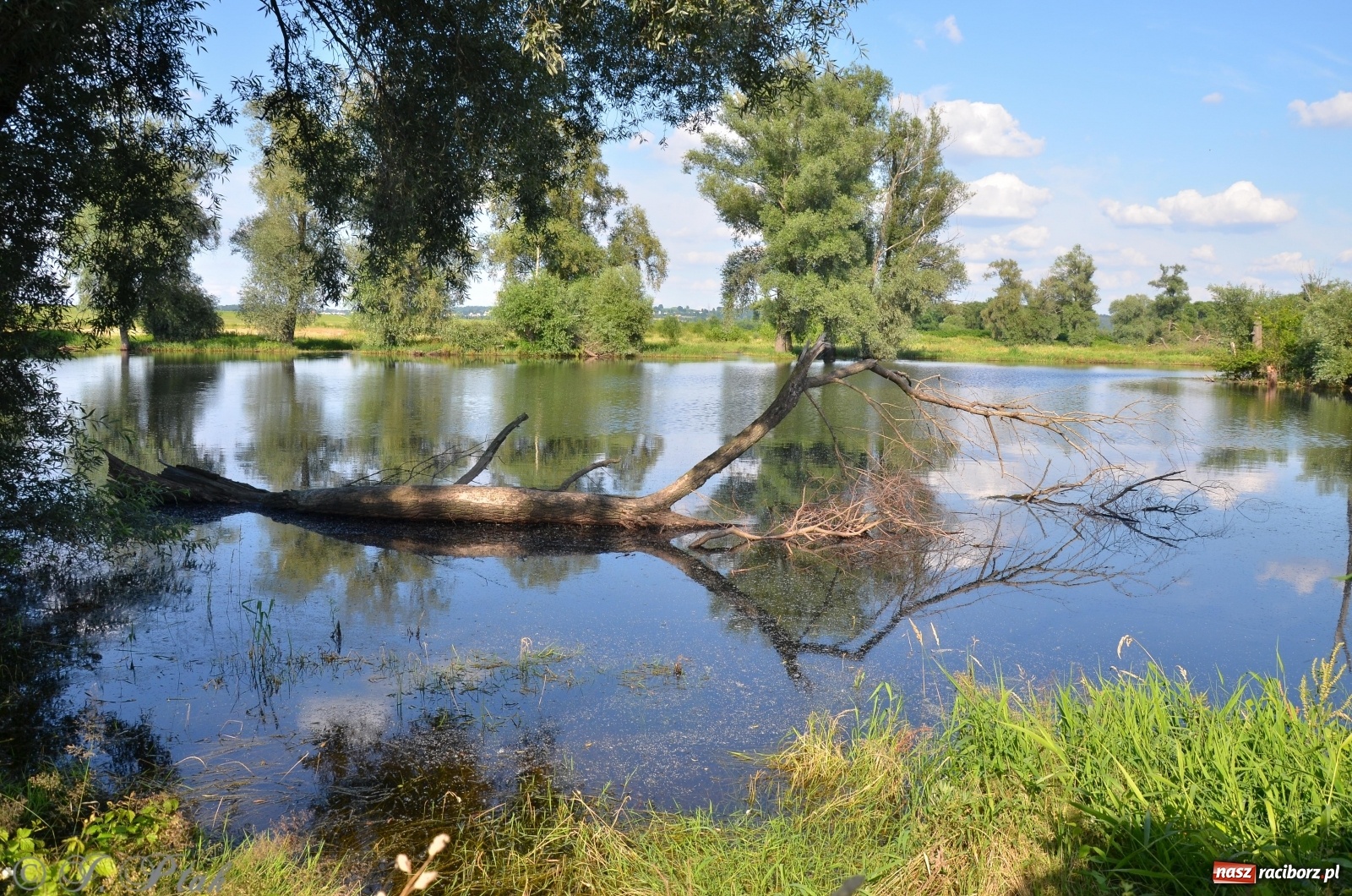 Zdjęcie w galerii na portalu naszraciborz.pl: Takie wyjątkowe krajobrazy znajdziecie tuż pod Raciborzem [FOTO] wiadomości z regionu