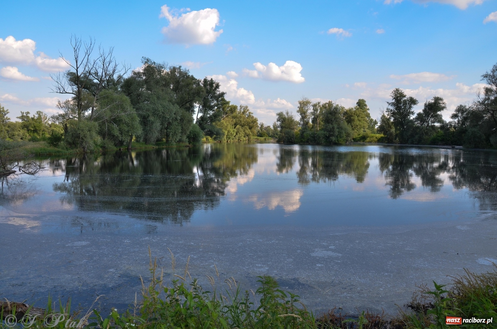 Zdjęcie w galerii na portalu naszraciborz.pl: Takie wyjątkowe krajobrazy znajdziecie tuż pod Raciborzem [FOTO] wiadomości z regionu