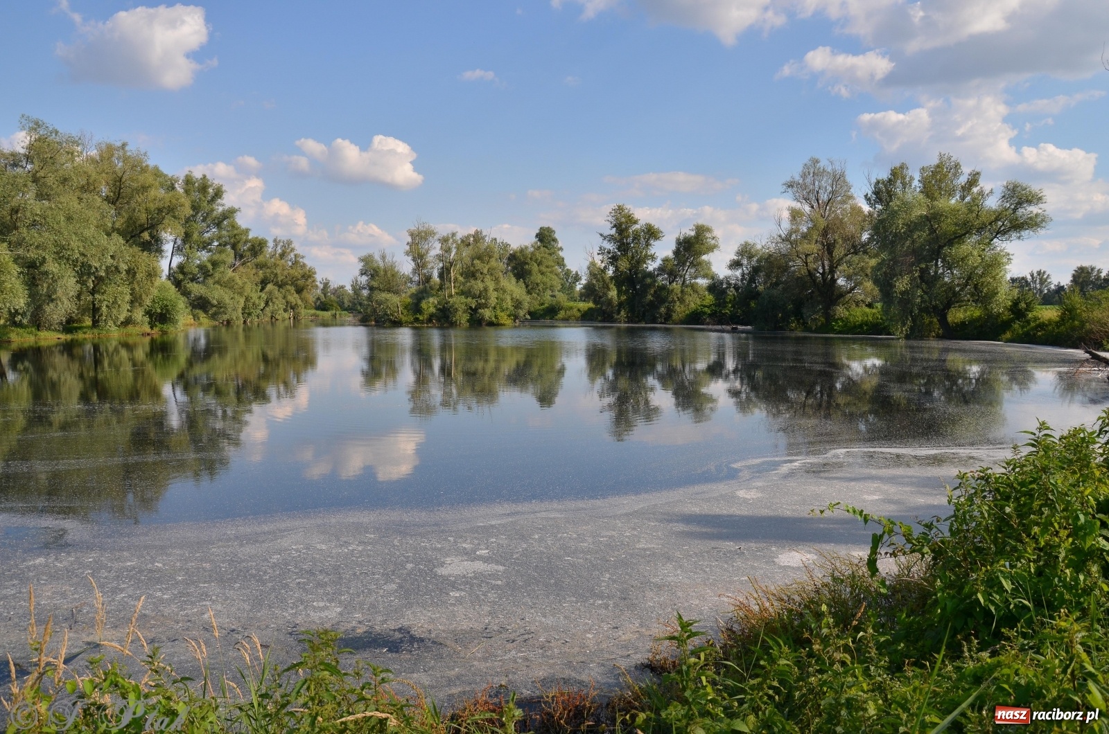 Zdjęcie w galerii na portalu naszraciborz.pl: Takie wyjątkowe krajobrazy znajdziecie tuż pod Raciborzem [FOTO] wiadomości z regionu