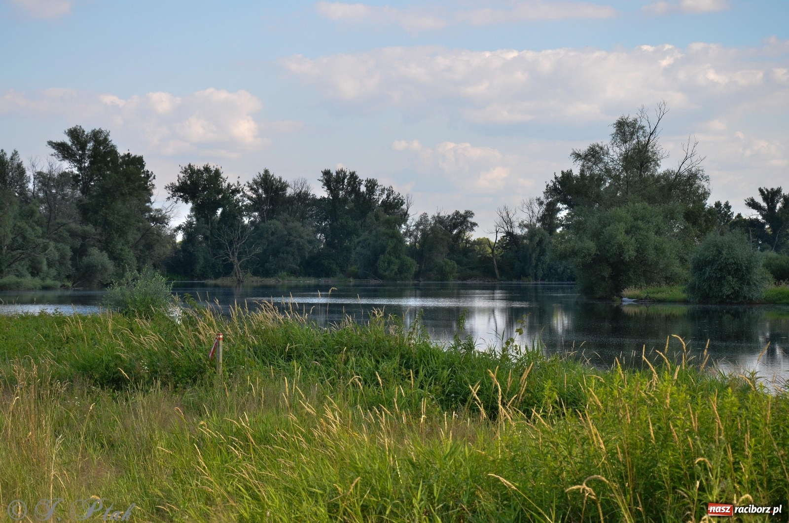 Zdjęcie w galerii na portalu naszraciborz.pl: Takie wyjątkowe krajobrazy znajdziecie tuż pod Raciborzem [FOTO] wiadomości z regionu