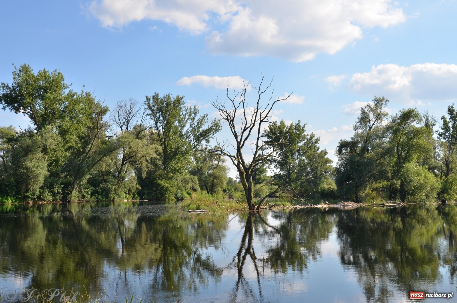 Zdjęcie w galerii na portalu naszraciborz.pl: Takie wyjątkowe krajobrazy znajdziecie tuż pod Raciborzem [FOTO] wiadomości z regionu