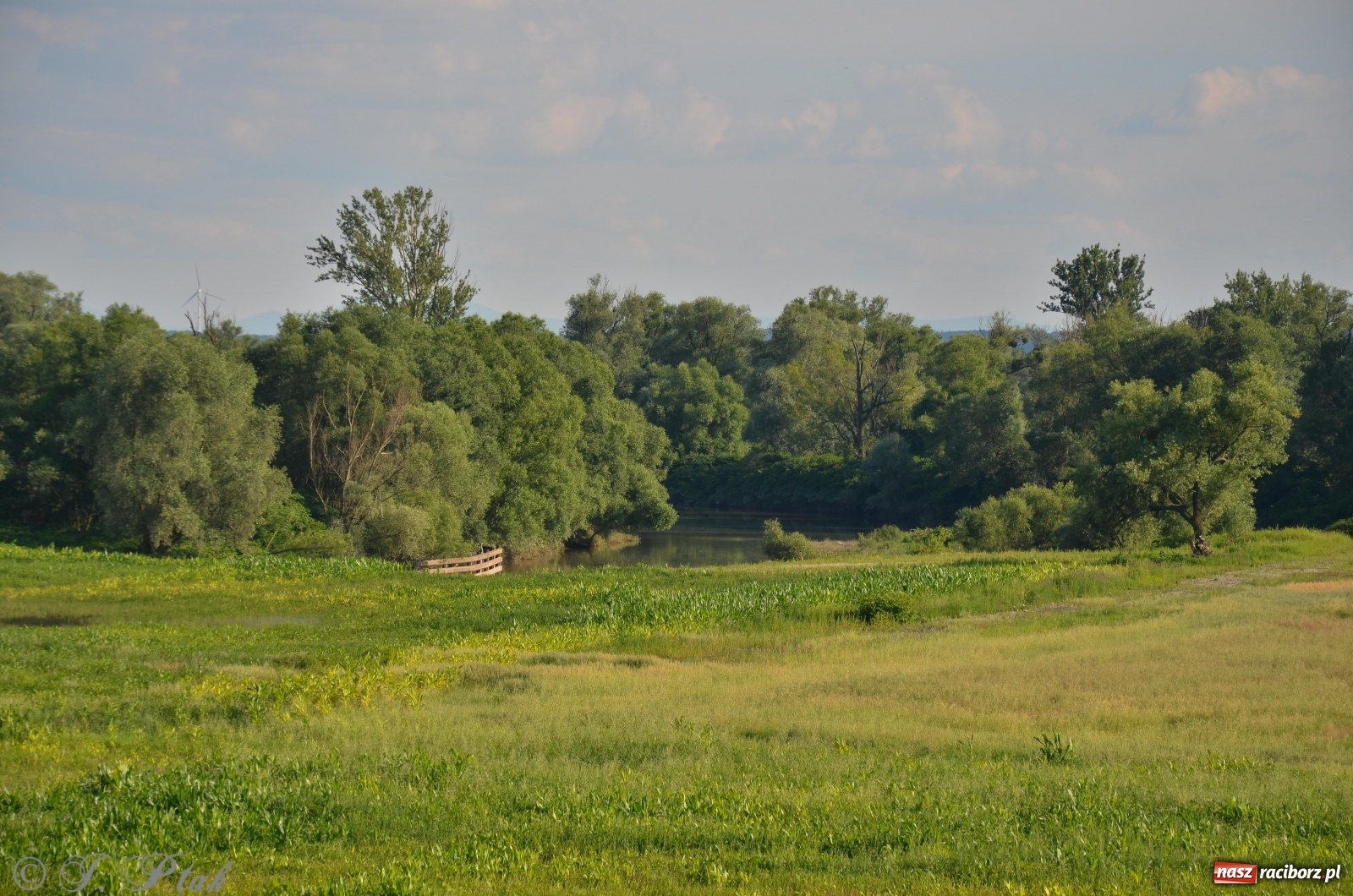 Zdjęcie w galerii na portalu naszraciborz.pl: Takie wyjątkowe krajobrazy znajdziecie tuż pod Raciborzem [FOTO] wiadomości z regionu