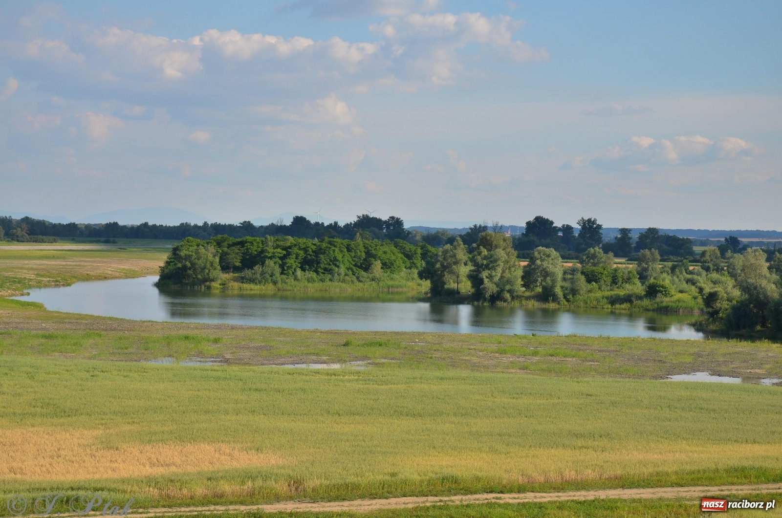 Zdjęcie w galerii na portalu naszraciborz.pl: Takie wyjątkowe krajobrazy znajdziecie tuż pod Raciborzem [FOTO] wiadomości z regionu
