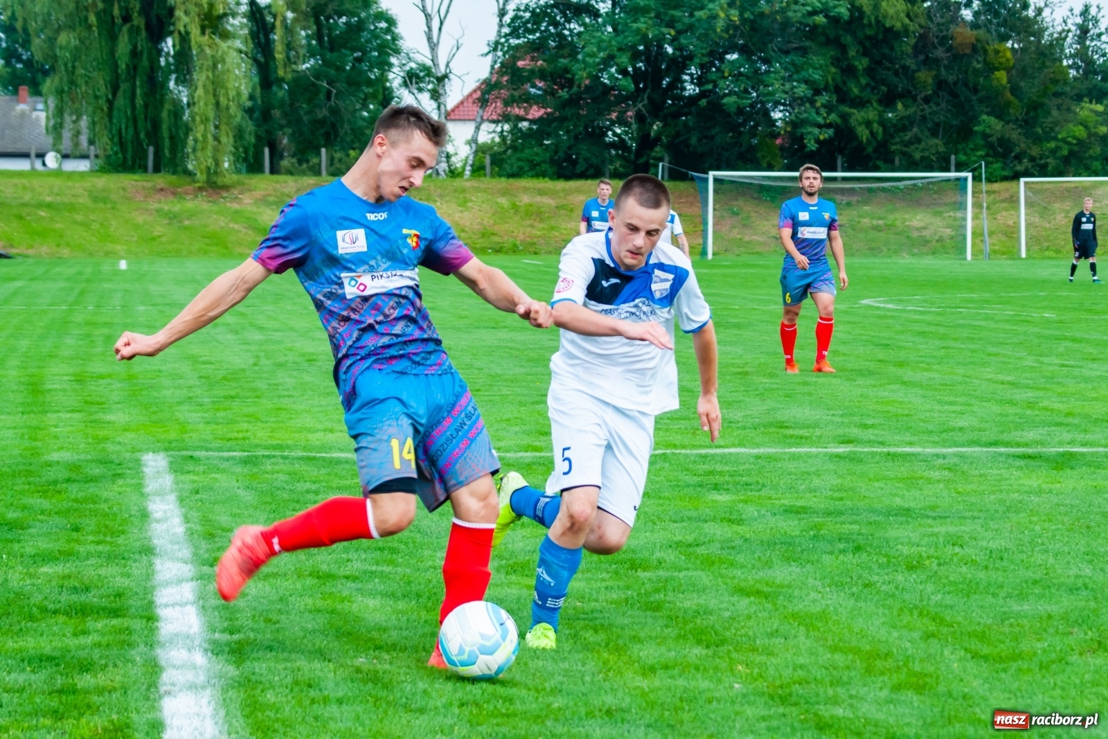 Zdjęcie w galerii na portalu naszraciborz.pl: Bez bramek w sparingowym starciu z czwartoligowcem [FOTO] wiadomości z regionu