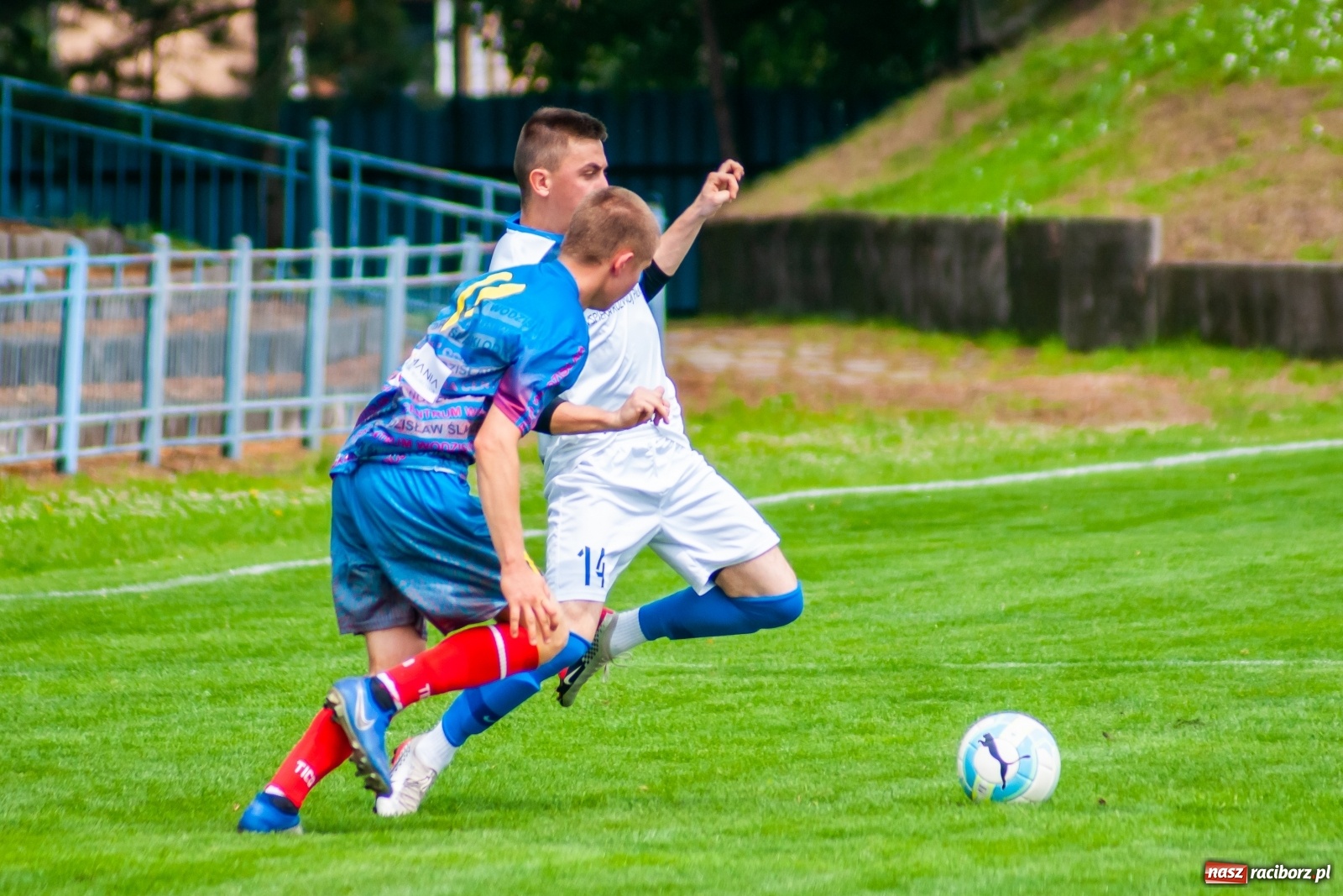 Zdjęcie w galerii na portalu naszraciborz.pl: Bez bramek w sparingowym starciu z czwartoligowcem [FOTO] wiadomości z regionu