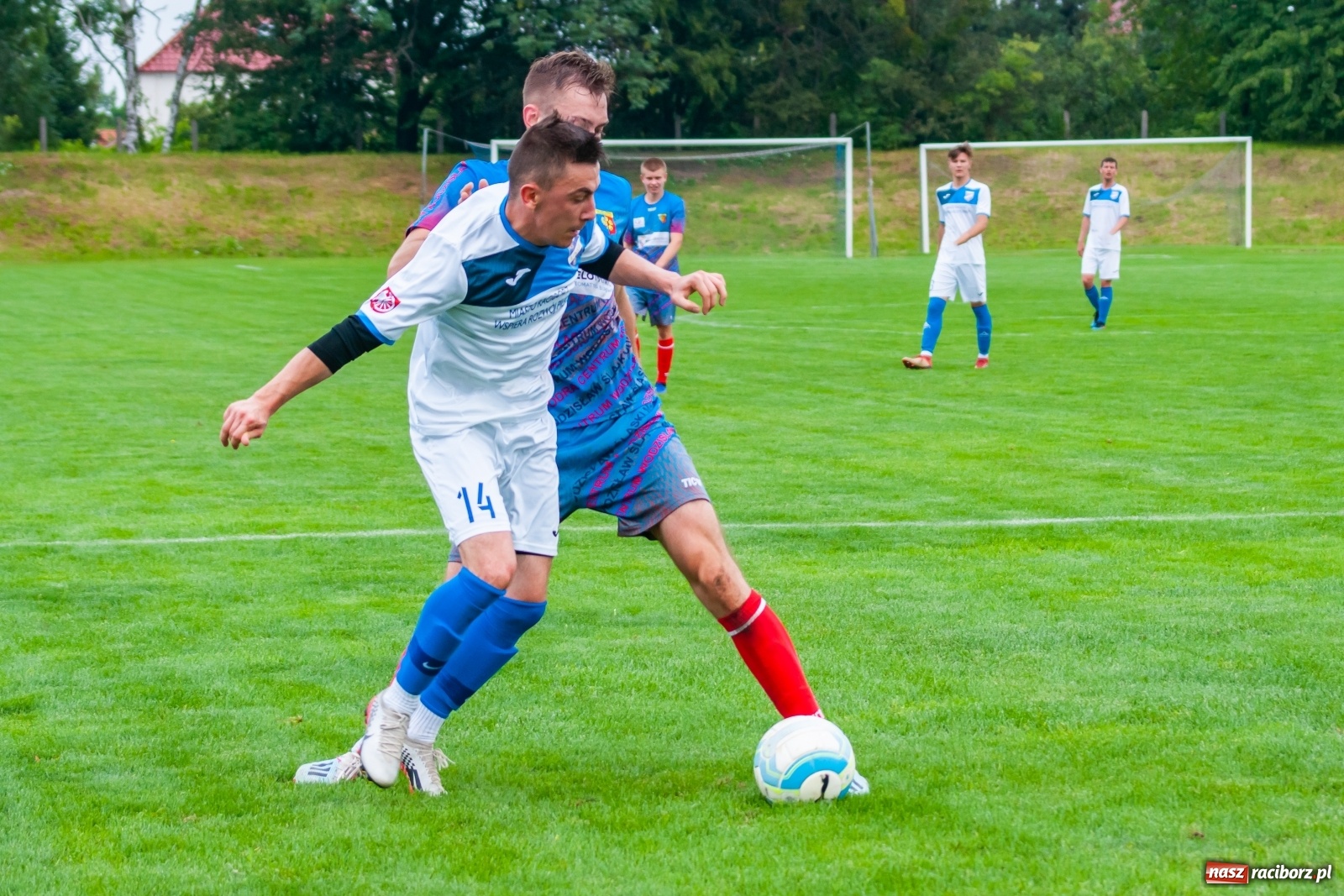 Zdjęcie w galerii na portalu naszraciborz.pl: Bez bramek w sparingowym starciu z czwartoligowcem [FOTO] wiadomości z regionu