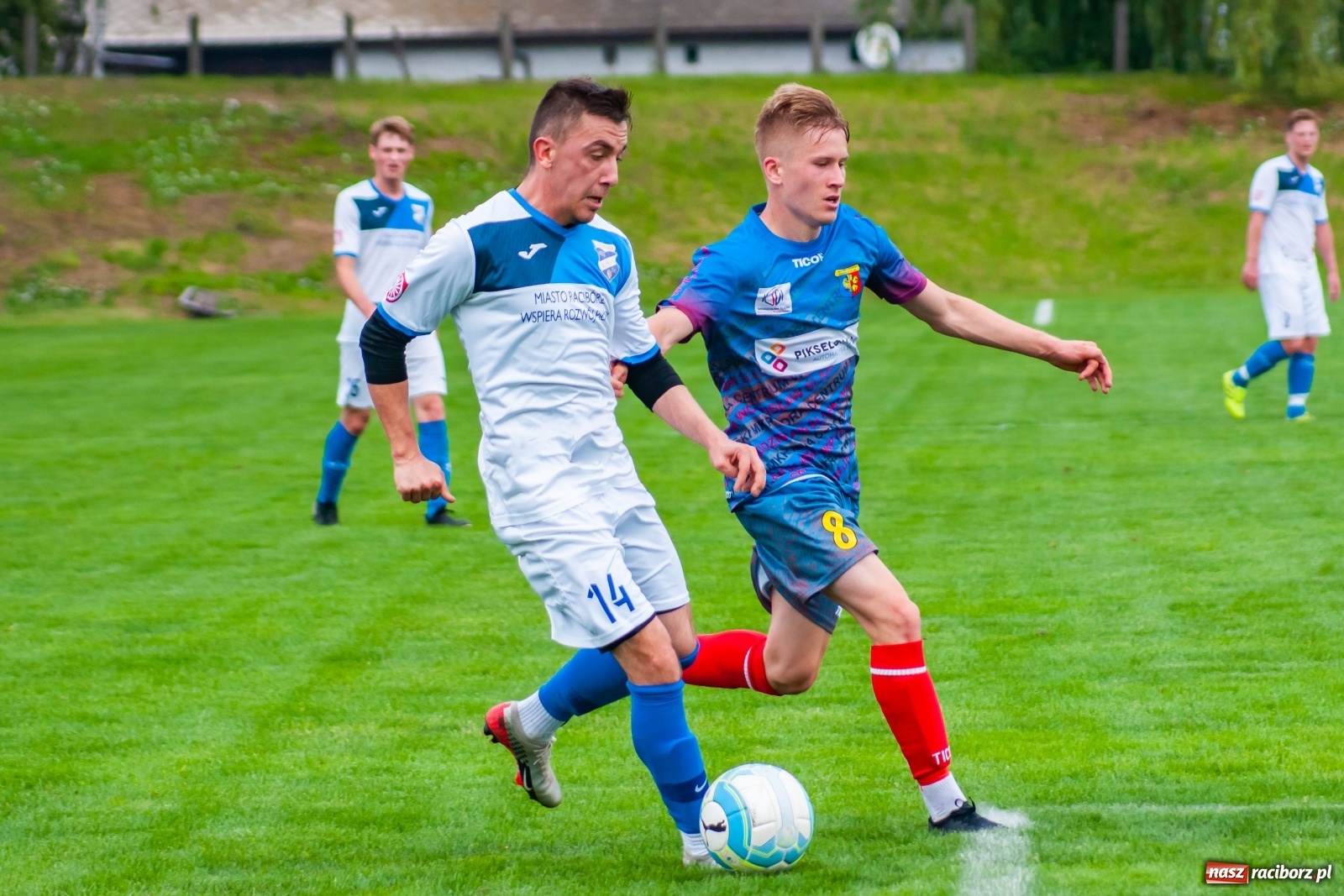 Zdjęcie w galerii na portalu naszraciborz.pl: Bez bramek w sparingowym starciu z czwartoligowcem [FOTO] wiadomości z regionu
