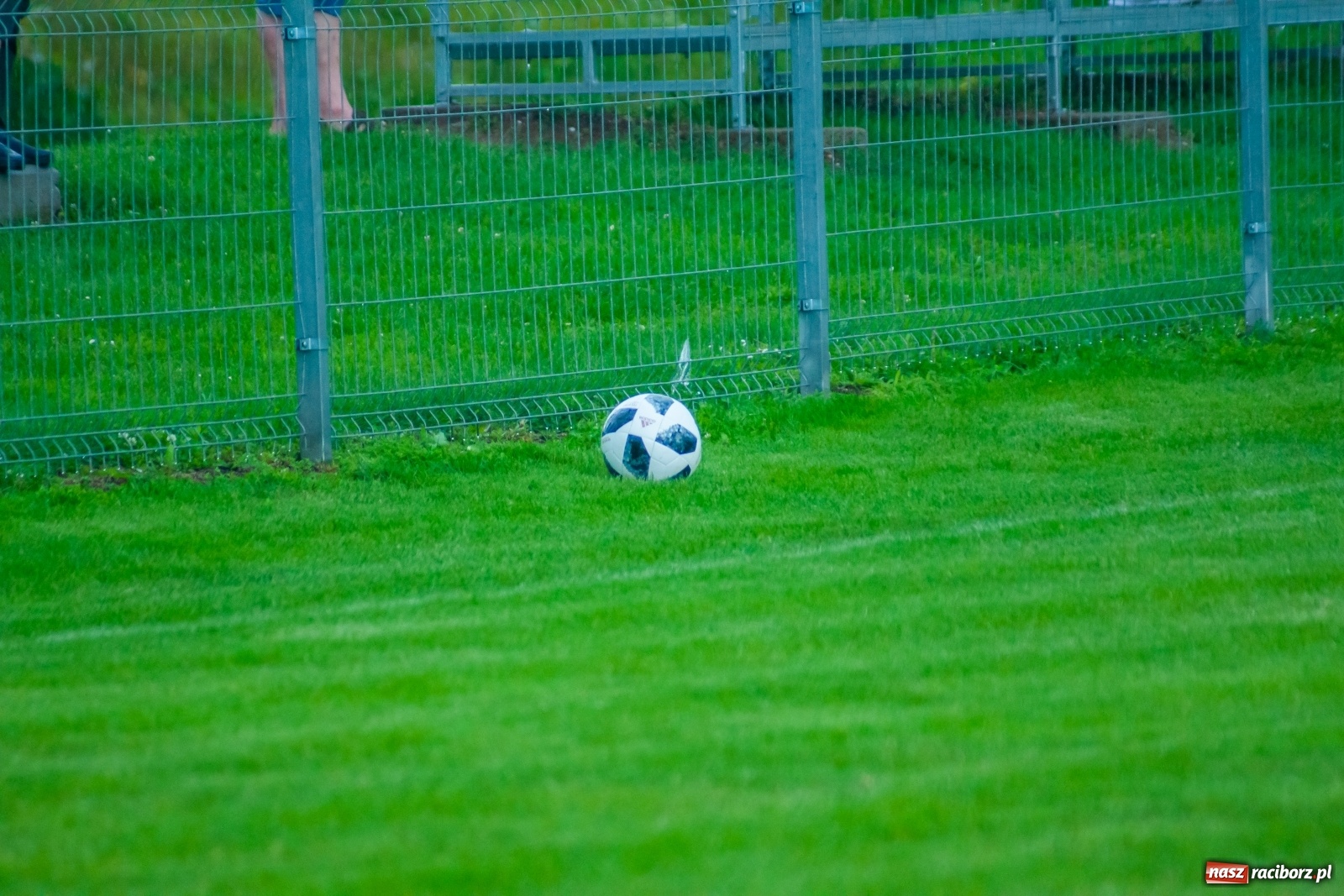 Zdjęcie w galerii na portalu naszraciborz.pl: Głowa Mateusza Kocota tajną bronią Tworkowa [FOTO] wiadomości z regionu