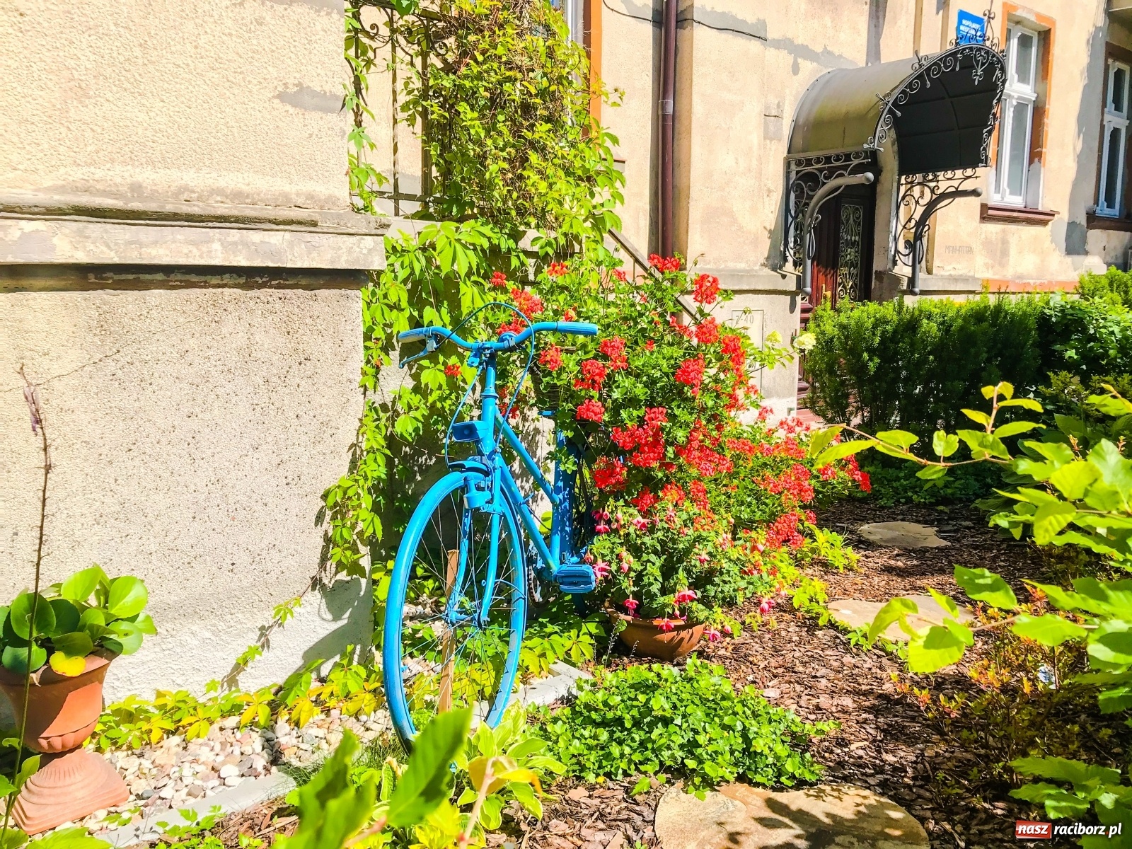 Zdjęcie w galerii na portalu naszraciborz.pl: Wakacje 2020. Ceny nad polskim morzem – Sopot  wiadomości z regionu