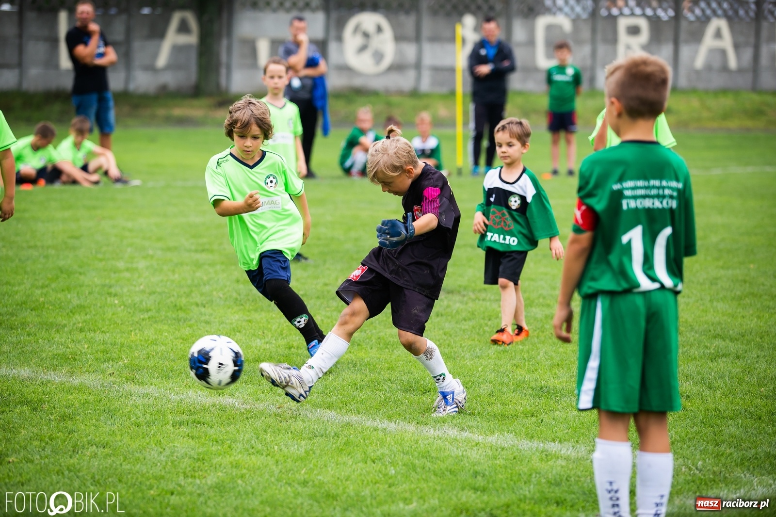 Zdjęcie w galerii na portalu naszraciborz.pl: Udana pierwsza edycja Metalio Cup w Tworkowie. Ekipa gospodarzy triumfatorem [FOTO i WIDEO] wiadomości z regionu