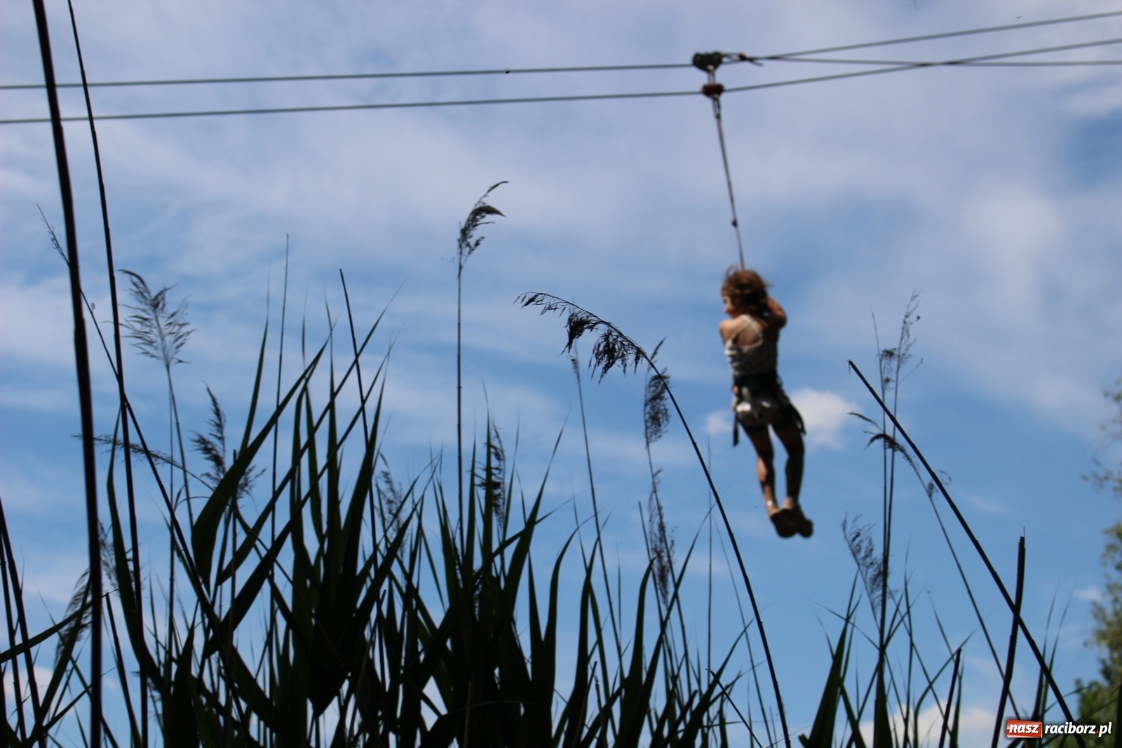 Zdjęcie w galerii na portalu naszraciborz.pl: Akcja Lato z GCK Nędza na półmetku [FOTO] wiadomości z regionu