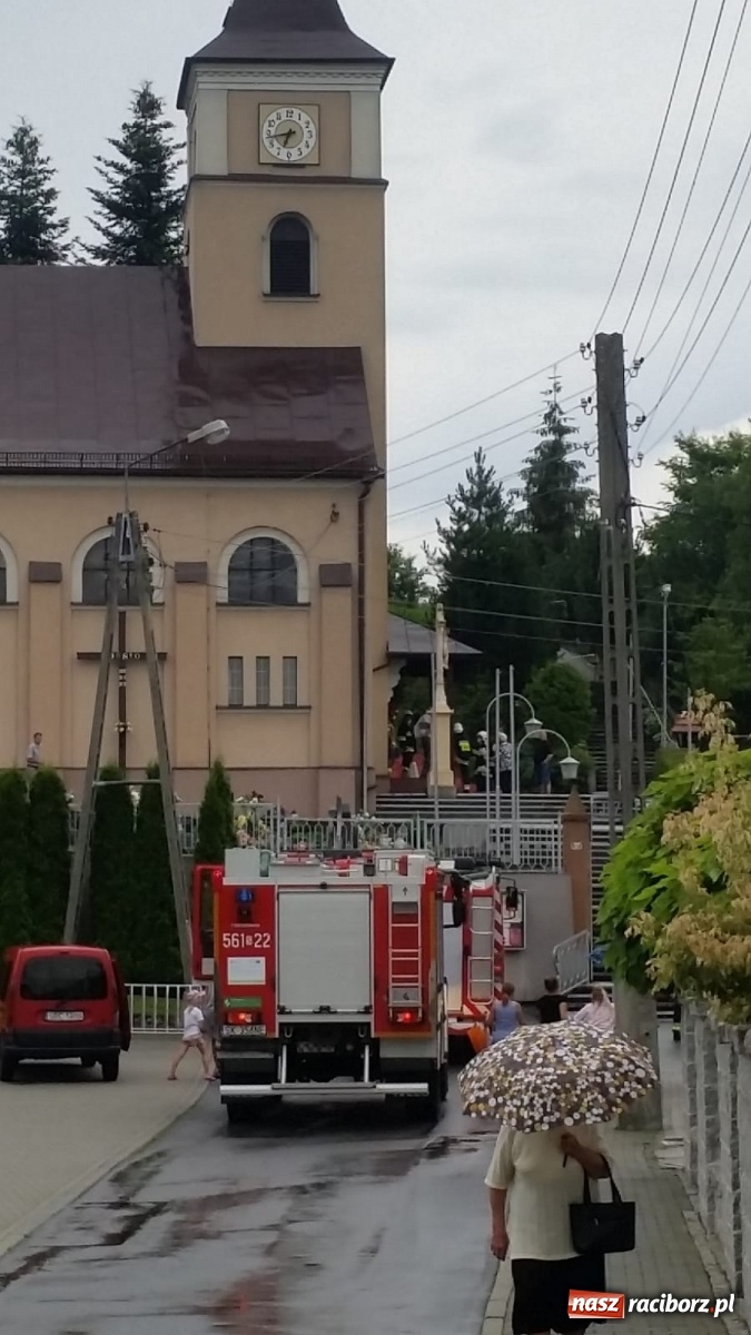 Zdjęcie w galerii na portalu naszraciborz.pl: Ranny lis szukał pomocy w... kościele [FOTO] wiadomości z regionu