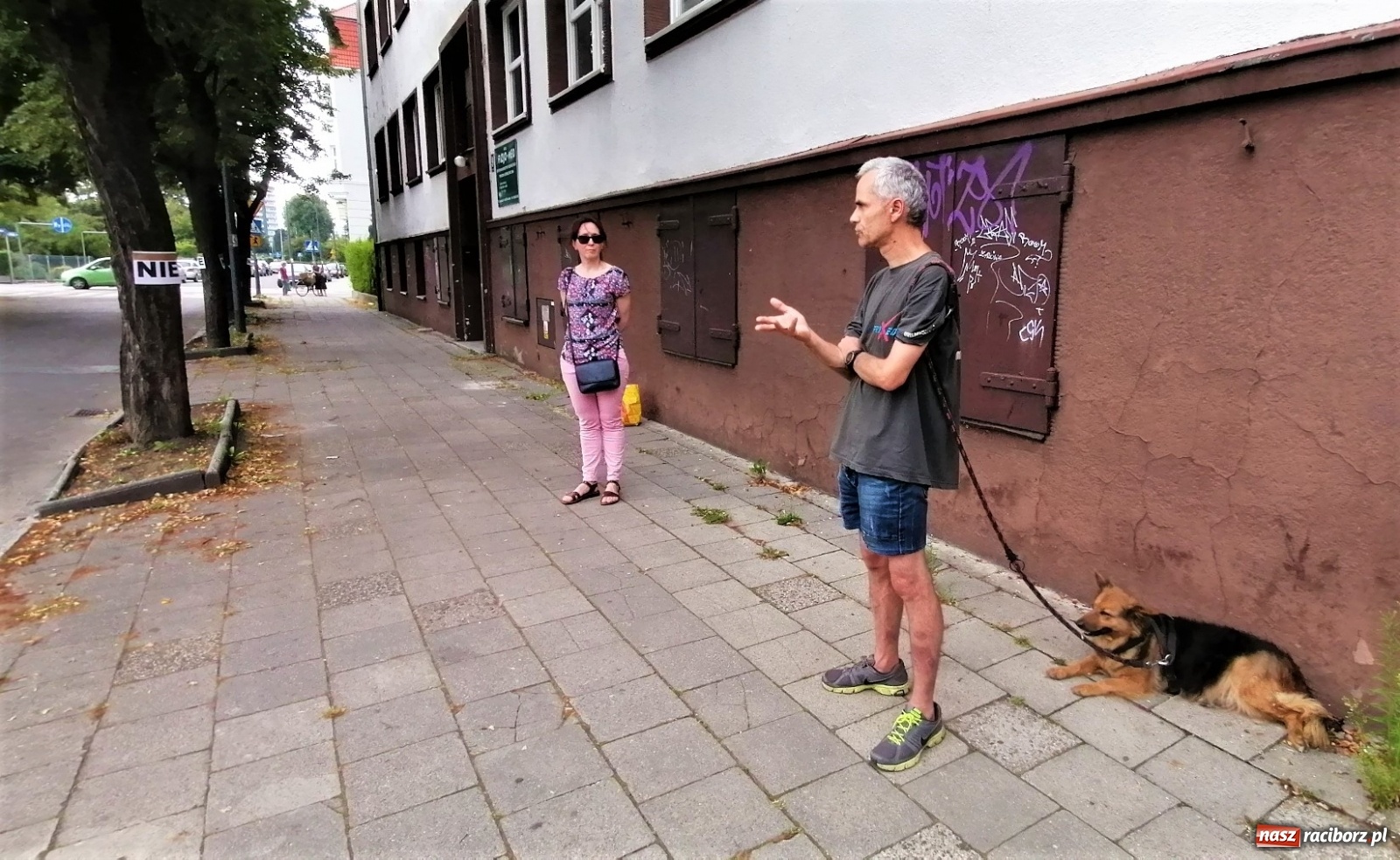 Zdjęcie w galerii na portalu naszraciborz.pl: Ruszyła walka o lipy przy Lwowskiej. Członkowie komisji Rady Miasta na wizji lokalnej [FOTO i WIDEO] wiadomości z regionu