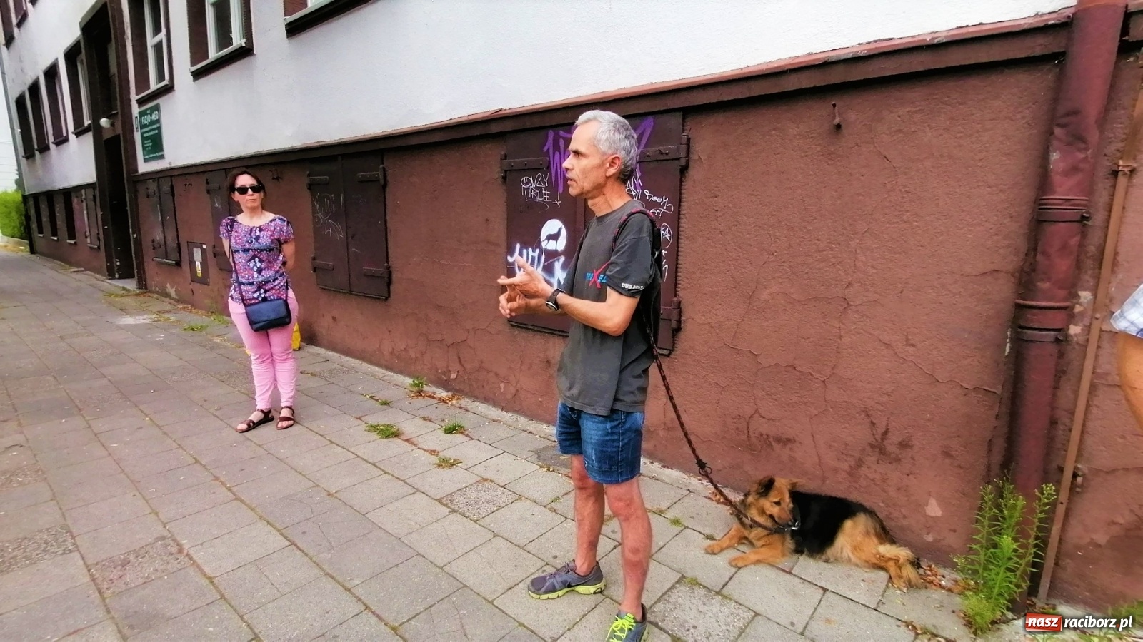 Zdjęcie w galerii na portalu naszraciborz.pl: Ruszyła walka o lipy przy Lwowskiej. Członkowie komisji Rady Miasta na wizji lokalnej [FOTO i WIDEO] wiadomości z regionu