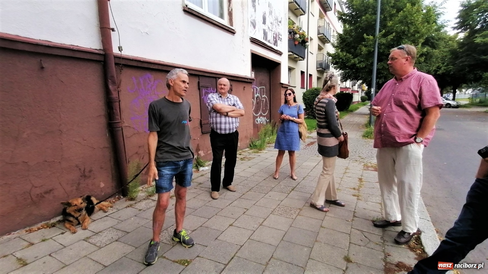 Zdjęcie w galerii na portalu naszraciborz.pl: Ruszyła walka o lipy przy Lwowskiej. Członkowie komisji Rady Miasta na wizji lokalnej [FOTO i WIDEO] wiadomości z regionu