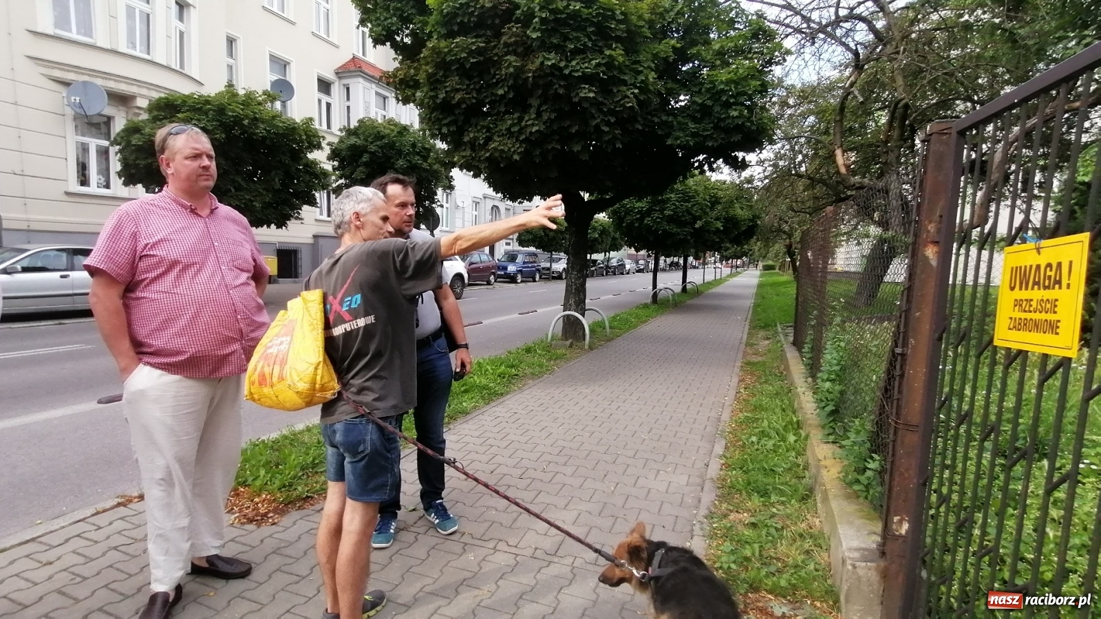 Zdjęcie w galerii na portalu naszraciborz.pl: Ruszyła walka o lipy przy Lwowskiej. Członkowie komisji Rady Miasta na wizji lokalnej [FOTO i WIDEO] wiadomości z regionu