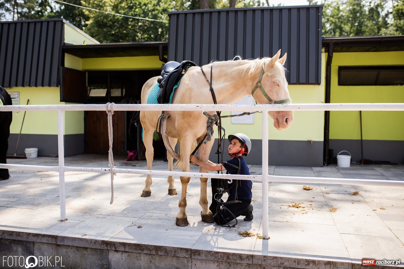 Zdjęcie w galerii na portalu naszraciborz.pl: Aquabrax. Półkolonie z końmi na półmetku [FOTO] wiadomości z regionu