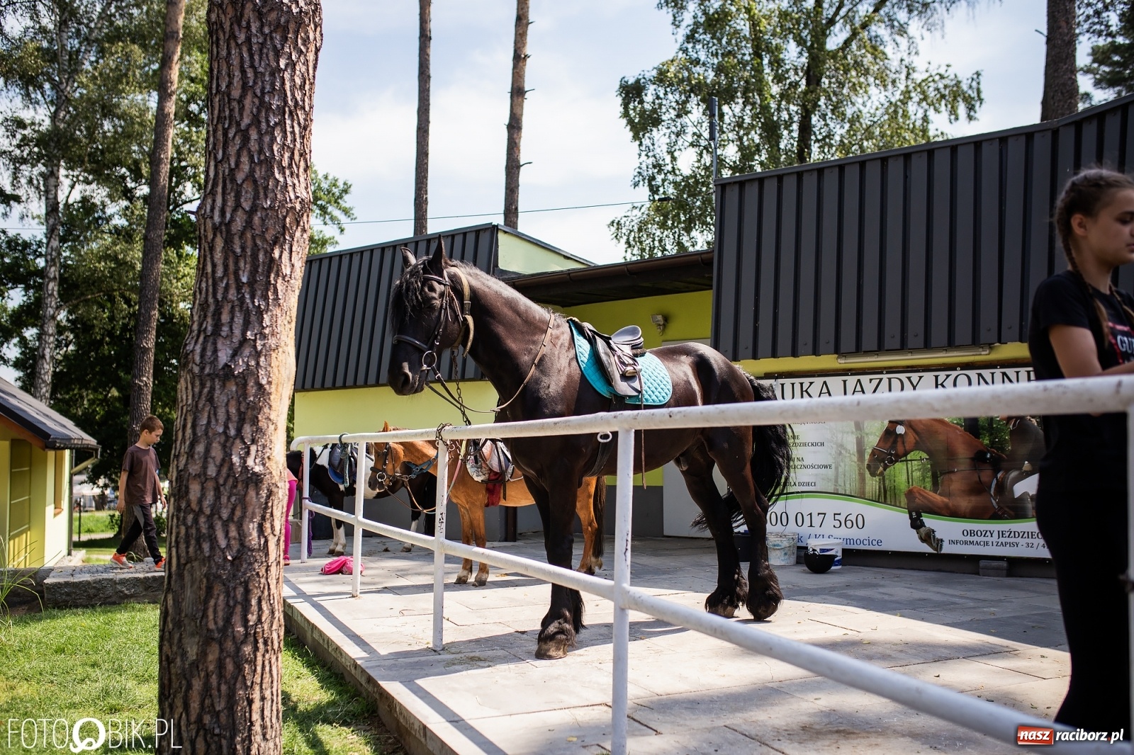 Zdjęcie w galerii na portalu naszraciborz.pl: Aquabrax. Półkolonie z końmi na półmetku [FOTO] wiadomości z regionu