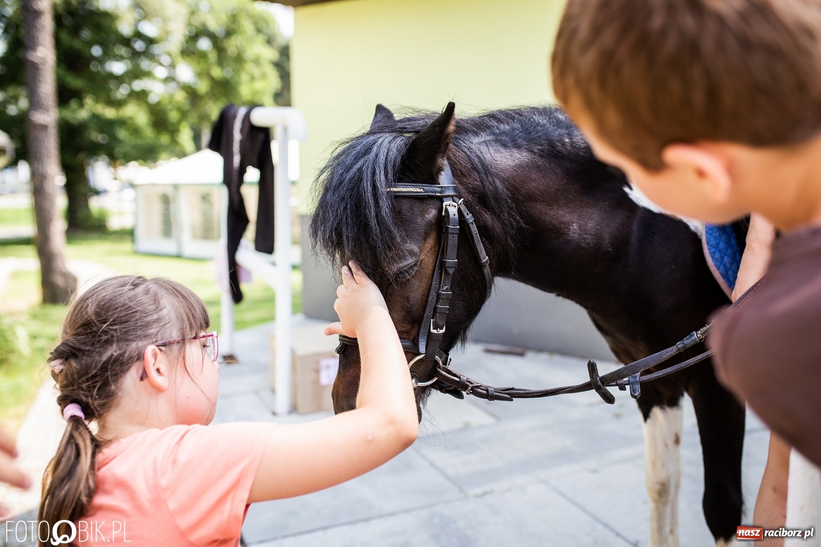 Zdjęcie w galerii na portalu naszraciborz.pl: Aquabrax. Półkolonie z końmi na półmetku [FOTO] wiadomości z regionu
