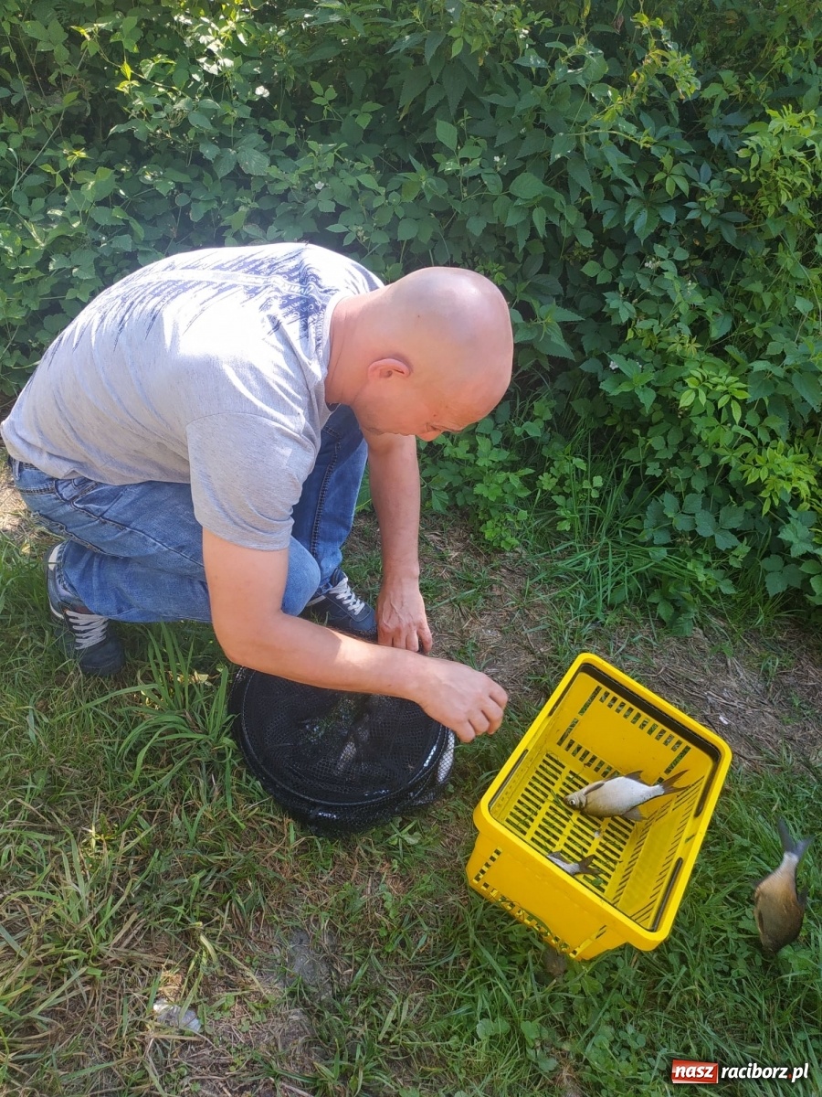 Zdjęcie w galerii na portalu naszraciborz.pl: Młodzi adepci wędkarstwa szukali złotej rybki w Oborze [FOTO] wiadomości z regionu
