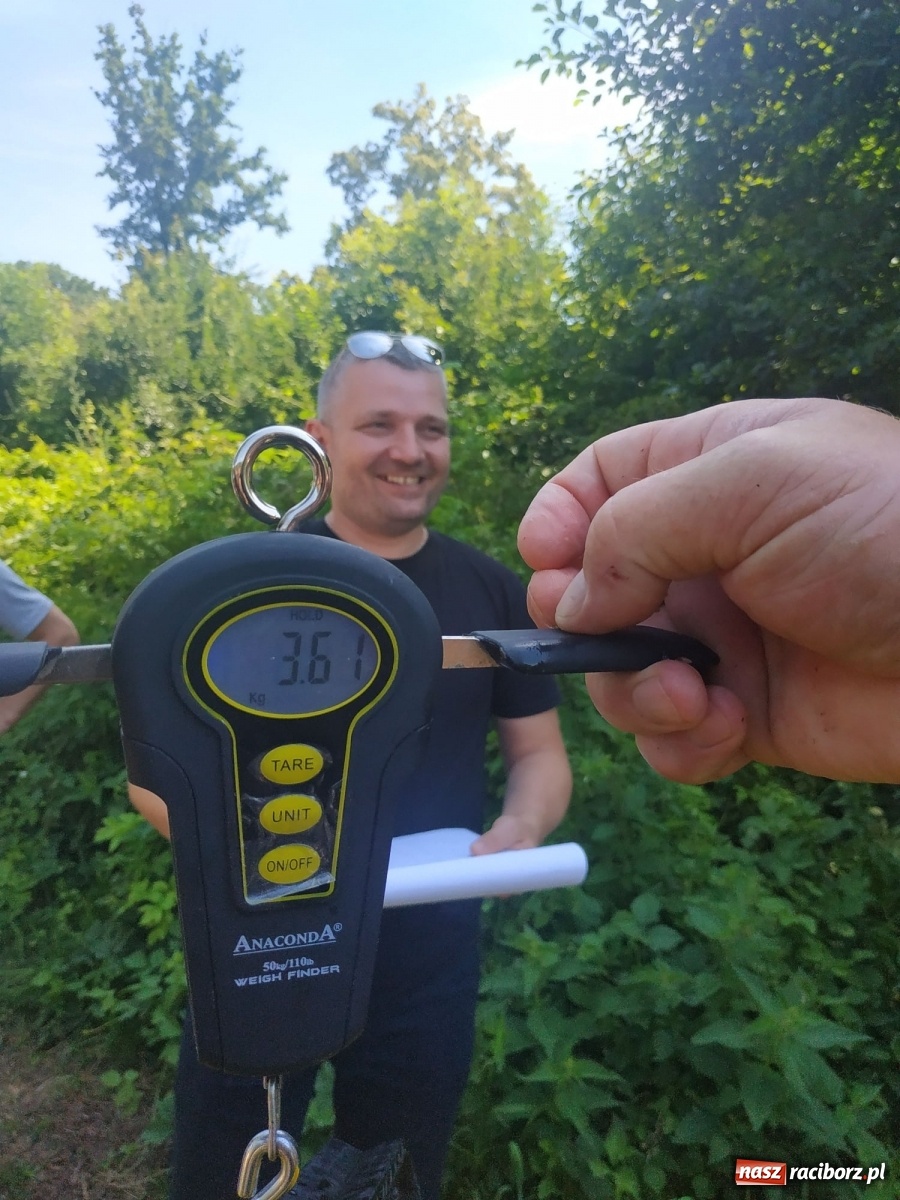 Zdjęcie w galerii na portalu naszraciborz.pl: Młodzi adepci wędkarstwa szukali złotej rybki w Oborze [FOTO] wiadomości z regionu